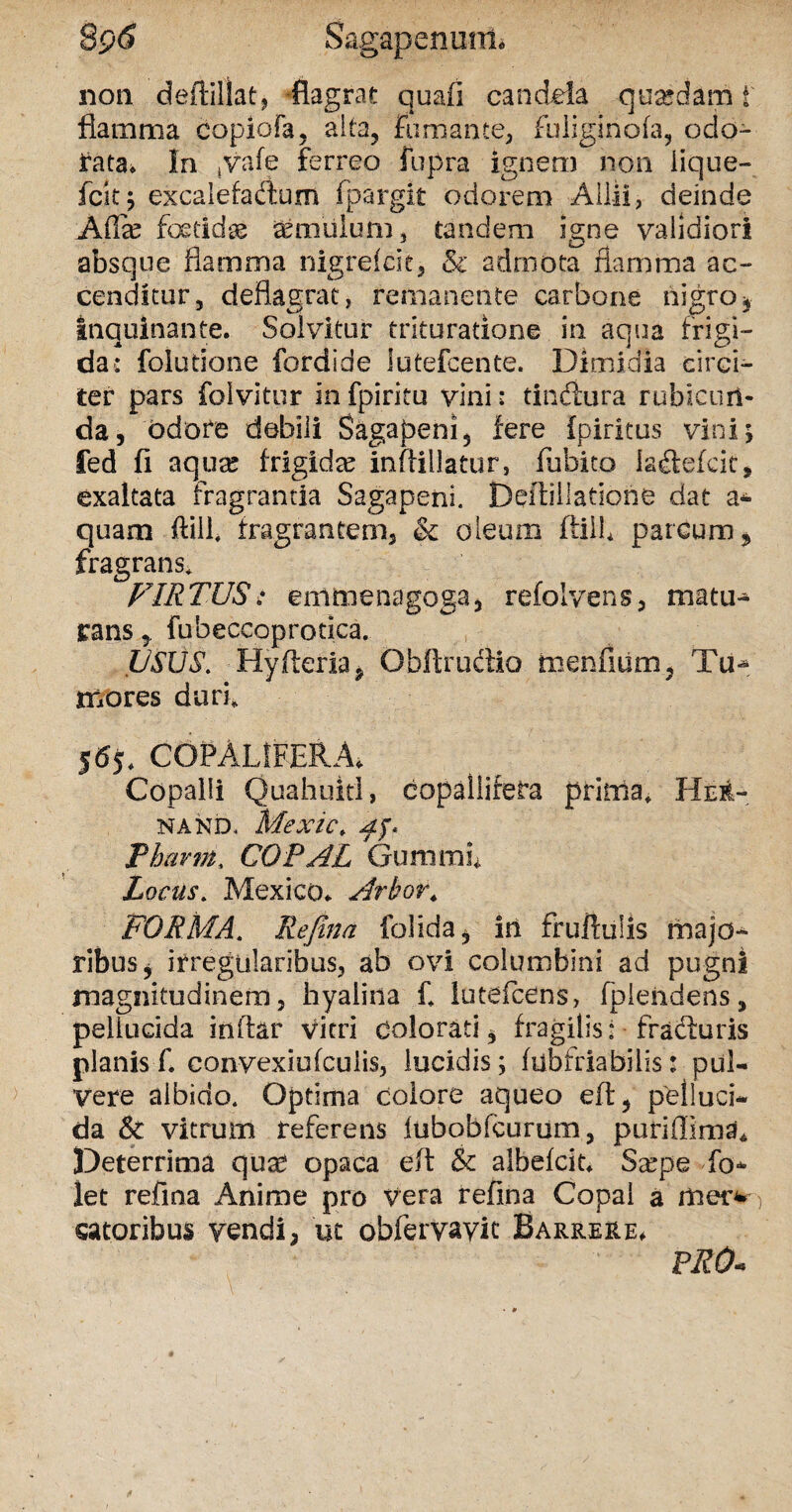 8p<5 Sagapenmn. non deffil!at? flagrat quafi candela quadam t flamma copiora, alta, fumante, fuliginofa, odo¬ rata» In ,vafe ferreo iupra ignem non lique-» icit5 excalefadtum fpargit odorem Allii, deinde Attx foetida imulum, tandem igne validiori absque flamma nigirefde, & admota flamma ac¬ cenditur, deflagrat, remanente carbone nigro, inquinante. Solvitur trituratione in aqua frigi¬ da: folutione fordide lutefcente. Dimidia circi¬ ter pars folvitur in fpiritu vini: tinftura rubicun¬ da, odore debili Sagapeni, fere fpiritus vini; fed fi aqua? frigida? inffillatur, fubito iaflefck, exaltata fragrantia Sagapeni. Deflillaticrie dat a* quam ftill* fragrantem, & oleum ftilb parcum, fragrans* VIRTUS; emmenagoga, refolvens, matu¬ rans fubeecoprodca. USUS. Hyfteria, Obftructio rnenfium, Tu- mores duri» 565* CGPAUFEBJu Copalli Quahuitl, copallifera prima* Her- NAND, Mexic. Af, Phurm, COPAL Gummu Locus. Mexico. Arbor\ FORMA. Rejina folida, in fruftulis majo¬ ribus, irregularibus, ab ovi columbini ad pugni magnitudinem, hyalina £ lutefcens, fplendens, pellucida inftar vitri colorati, fragilis: fracturis planis f. convexiufculis, lucidis; fubfriabilis: pul¬ vere albido. Optima colore aqueo eft, pelluci¬ da & vitrum referens lubobfcurum, purifliraa* Deterrima quse opaca eft & albefcit. Serpe fo* let refina Anime pro vera refina Copa! a mer* satoribus vendi, ut obfervavit Barrere* PRO*