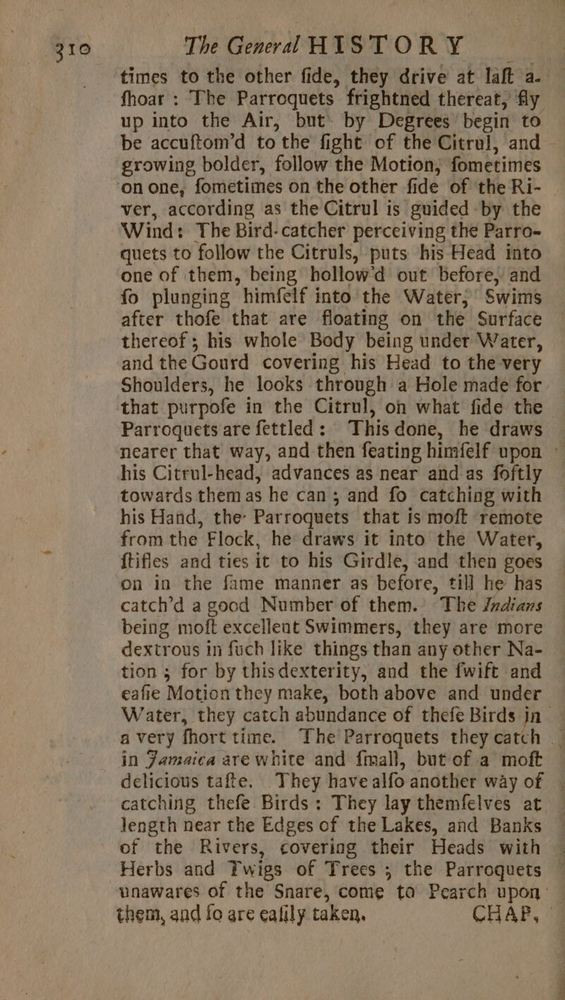 fhoar : The Parroquets frightned thereat, fly up into the Air, but by Degrees’ begin to be accuftom’d to the fight of the Citrul, and growing bolder, follow the Motion, fometimes ‘on one, fometimes on the other fide of the Ri- ver, according as the Citrul is guided by the Wind: The Bird. catcher perceiving the Parro- quets to follow the Citruls, puts his Head into one of them, being hollow’d out before, and fo plunging himfelf into the Water; Swims after thofe that are floating on the Surface thereof; his whole Body being under Water, and the Gourd covering his Head to the very that purpofe in the Citrul, on what fide the Parroquets are fettled : This done, he draws his Citrul-head, advances as near and as foftly towards them as he can ; and fo catching with his Hand, the: Parroquets that is moft remote from the Flock, he draws it into the Water, {tifles and ties it to his Girdle, and then goes on in the fame manner as before, till he has catch’d a good Number of them. The Jndians being moft excelleat Swimmers, they are more dextrous in fuch like things than any other Na- tion ; for by thisdexterity, and the fwift and Water, they catch abundance of thefe Birds jn in Jamaica are white and fmall, but of a moft delicious tafte. They have alfo another way of length near the Edges of the Lakes, and Banks of the Rivers, covering their Heads with