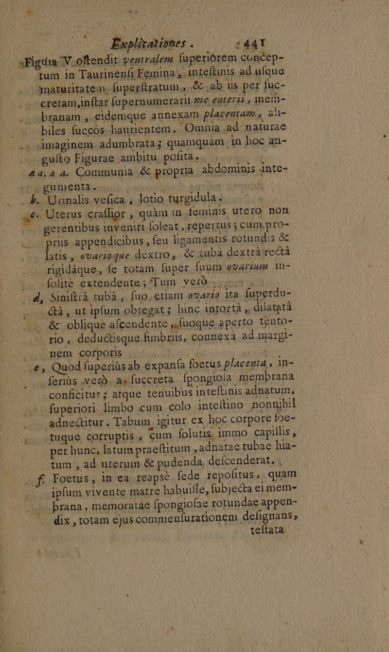 a - ; ^* Sw FI — Éwxplitationes . —— :44Y sFigiia V. oftendit. veztralem faperiorem concep- tum in Taurinenfi Femina , inteftinis ad ulque ^smaturitatem. fuperftratum , (Qo; ab lis per fuc- cretam,inflar fupernumerarii 47e e2t£745 , mem- branam ,.eidemque annexam. placentam., ali- j biles fuccos. baurientem. Omnia ,ad naturae ^. smaginem. adumbrata; quamquam in boc an- .guíto Figurae ambitu pofitass iode 44.4 4. Communia ,&amp; propria. abdominis jnte- | ,gumenta. natn: fite . . b. Urnalis vefica , lotio turgidula. ,€. Uterus craffipr , quàm in feminis utero non « |gerenubus inveniri foleat , repertus ; cum pro- «2. prüs appendicibus, feu ligamenus rotundis &amp; latis, evarioque déxtro, e tubà dextrà rectà rigidáque, fe totam. fuper fuum evarium in- .. ^folité extendente; Tum verb; io 5, 4, Siniftrà tubà , fuo. etiam ovario ita fuperdu- &amp;à , ut ipfum obtegat ; hinc ingortà ,, dilatetà &amp;: oblique afcendente ,,fuoque aperto tento- rio , deductisque fimbriis, connexa ad.margi- ^ cmmpm. eorporis: cud. , Me /. €, Quod fuperiüsab expanía foetus placeata,, àn- - ferius .vezO. a«fuccreta. fpongioia membrana conficitur; atque tenuibus inteftinis adnatum; fuperiori limbo cum colo inteftino nonnihil . adnedütur. Tabum. igitur ex hoc corpore foe- tuque corruptis , cum folutis, immo capillis , per hunc, latum praeftitum , adnatae tubae hia- tum , ad uterum &amp; pudenda, defcenderat. . f Foetus,; in ea reapse fede repofitus, quam ipfum vivente matre habuitfe, fubjecta ei mem- prana, memoratae fpongioíae rotundae appen- dix , totam ejus commenfurationem defignans; | teítata S.