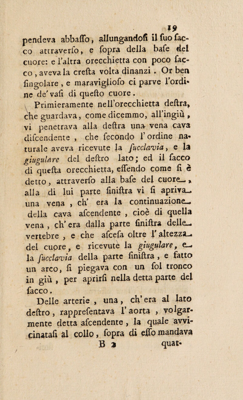 pendeva abbaffo, allungandofi ilfuofac- co attraverlo, e fopra della baie dei cuore: e 1’aitra orecchietta con poco fac- co , avevala crefta volta dinanzi. Or ben fingolare , e maravigliofo ci parve 1’ordi- ne de' vafi di qucfto cuore. Primieramente nellorecchietta deftra, cheguardava, comedicemmo, alfingiu , vi penetrava alia deftra una vena cava difcendente , che fecondo 1’ordine na¬ turale aveva ricevute la fucclavia, e Ia giugulare dei deftro lato; ed il facco di quefta orecchietta, eflendo come fi e detto, attraverfo alia bafe dei cuore_ » alia di lui parte finiftra vi fi apriva- una vena , ch’ era ia continuazione- della cava afcendente , cioe di quella vena , ch’ era dalla parte finiftra delle_ vertebre , e che afcefa oltre 1 altezzsL-i dei cuore, e ricevute la giugulare, e_ la fucclavia della parte finiftra , e fatto un areo, fi piegava con un fol tronco in giu , per aprirfi nella detta parte dei facco. Delie arterie , una, ch’ era al lato deftro, rapprefentava 1’ aorta , volgar- mente detta afcendente, la quale awi- cinatafi al collo, fopra di effo mandava B 3 quat-