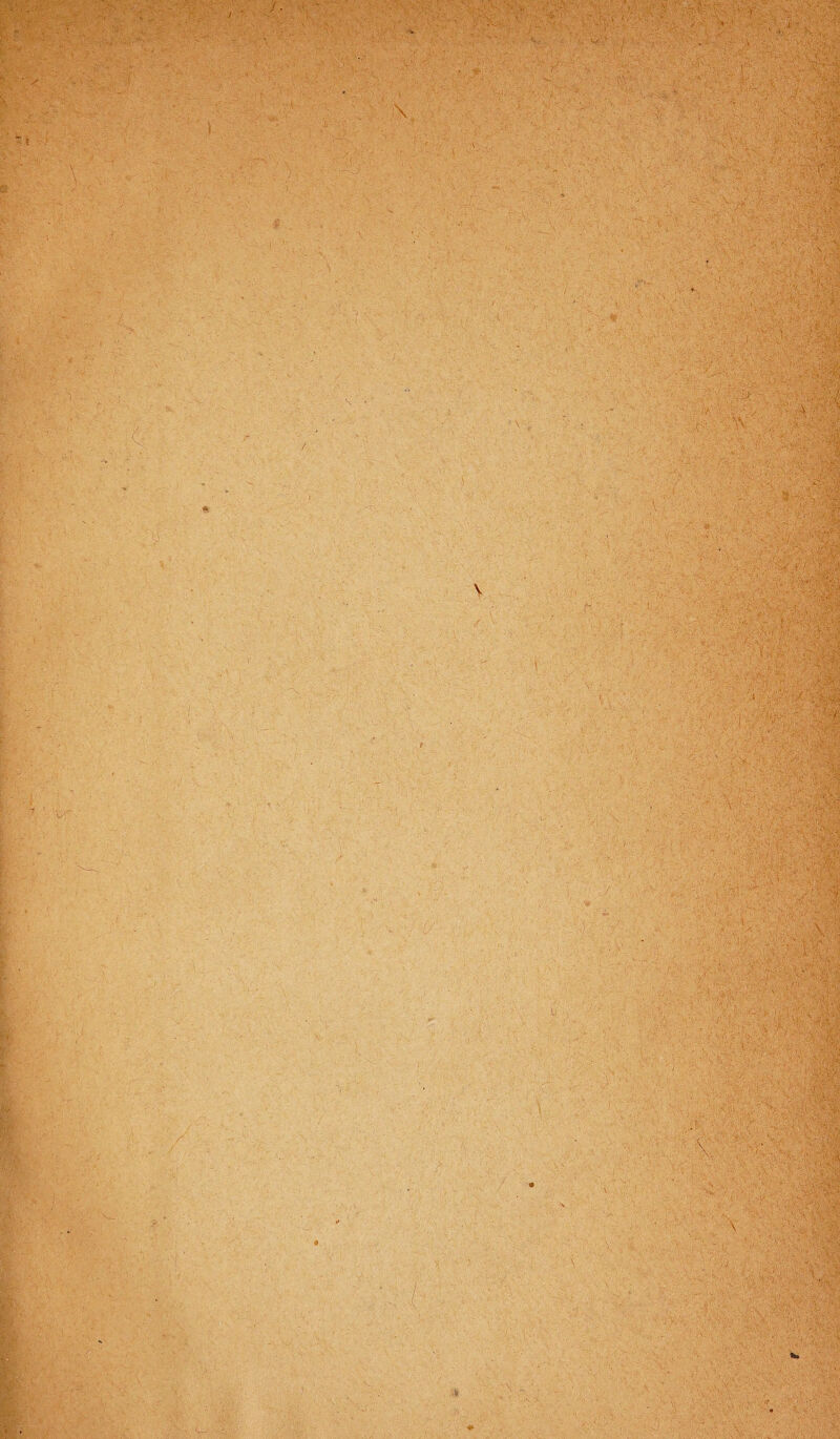 ■ . ■ . ■ ' ' • - ■, rv- •*' t- V\v -:■< \ . ■• . ... ■ .v ; ' • 1 . - v •- ■ !.-■ .-...i’ V vC . r - - ■ ---'it} ■ - i * •<.v ■ . 'itf, . .. . : V V K • O- y: ; ?.v •'•. v. .... - f y ii{?' - i: -k' , \ r