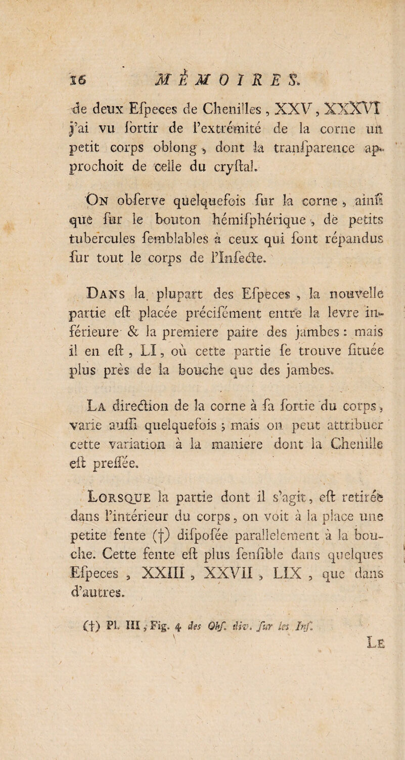 36 MÉMOIRES. de deux Efpeces de Chenilles , XXV, XXXVI |’ai vu lortir de l’extrémité de la corne un petit corps oblong s dont la tranfparence ap- prochoit de celle du cryftah On obferve quelquefois fur la corne , ainfi que fur le bouton hémifphérique -, dé petits tubercules femblables à ceux qui font répandus fur tout le corps de i’Infede. Dans la. plupart des Efpeces , la nouvelle partie eft placée préciiement entre la levre in¬ férieure & la première paire des jambes : mais il en eft , LI, où cette partie fe trouve fituée plus près de la bouche que des jambes. La dirè&ion de la corne à fa fortie du corps * varie aüffi quelquefois s mais on peut attribuer cette variation à la maniéré dont la Chenille eft preflée. Lorsque la partie dont il s’agit, eft retirés dans l’intérieur du corps, on voit à la place mie petite fente (j) difpofée parallèlement à la bou¬ che. Cette fente eft plus fenftble dans quelques Efpeces , XXIII , XXVil -, LIX , que dans d’autres. (t) PI, III, Fig. 4 des Ohf dit- fur les Inf ' Le