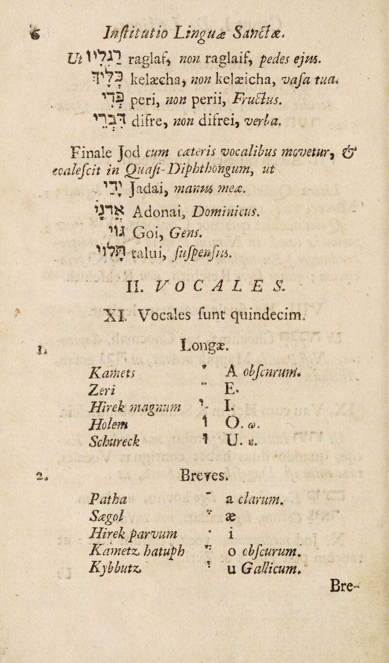 In flit at io Lingua Saftct&. Ut 1 raglaf* non raglaif* pedes ejm. ?13לי kelaecha, non kelseicha, vafa tua« יי? peri, non perii, Fruclus. דברי difre, non ciifrei, verb a. Finale Jed cum ceteris mcalibus movetur, & ecalefcit in Q1tafi-Dipbth'ongum> ut -ילי Jadaij manta, meat. * אתי Adonai* Dominions. Goi, Gens, חל^י taluij fufpenfm. II. V 0 C A L E S. XI Vocales funt quindecim. Longa?. Kdmets 9 A obfour uni< TLeyi 0» E* Hirek magnum *־ I. Holem 1 O. r*>. Schureck ו U. a. Breyes. Patha ׳- a clarum. Sagol p* • se Hirek parvum • i Kametz, hatuph 0 cbfeurum, Kybbutz. • u Gallicum, Bre-