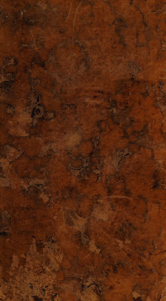 digitised image 1