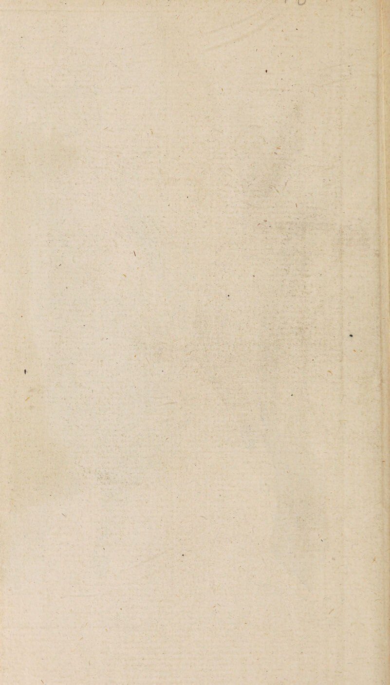 ) \ U t . v ; •‘t i , /.