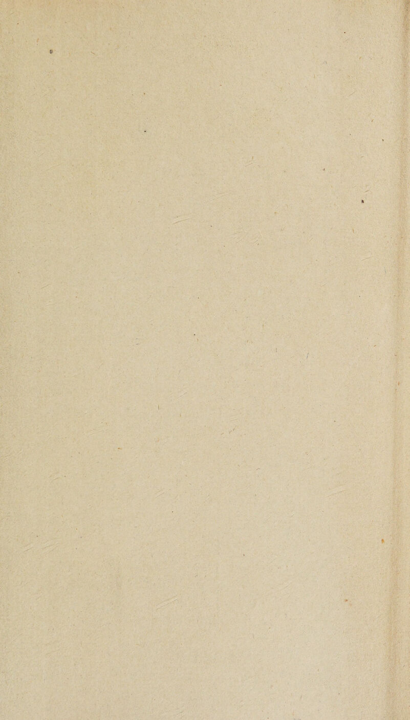 . ■5? I r .1 r., • y K : / .