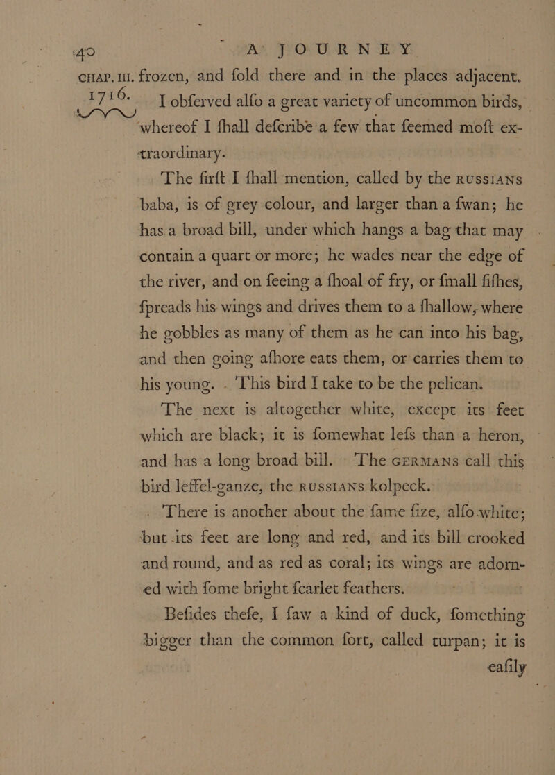 AK FYONUMR ON Gay I obferved alfo a great variety of uncommon birds, | whereof I fhall deferibe a few that feemed moft ex- araordinary. The firft I fhall mention, called by the russians baba, is of grey colour, and larger than a fwan; he has a broad bill, under which hangs a bag that may. contain a quart or more; he wades near the edge of the river, and on feeing a fhoal of fry, or {mall fithes, {preads his wings and drives them to a fhallow, where he gobbles as many of them as he can into his bag, and then going afhore eats them, or carries them to. his young. . This bird I take to be the pelican. The next is altogether white, except its feet which are black; it is fomewhat lefs than a heron, | and has a long broad bill. - [he cermans call this bird leffel-canze, the russians kolpeck. _ There is another about the fame fize, alfo white; but -its feet are long and red, and its bill crooked and round, and as red as coral; its wings are adorn- ed with fome bright fcarlet feathers. Befides thefe, I faw a kind of duck, fomething bigger than the common fort, called curpan; it is eafily