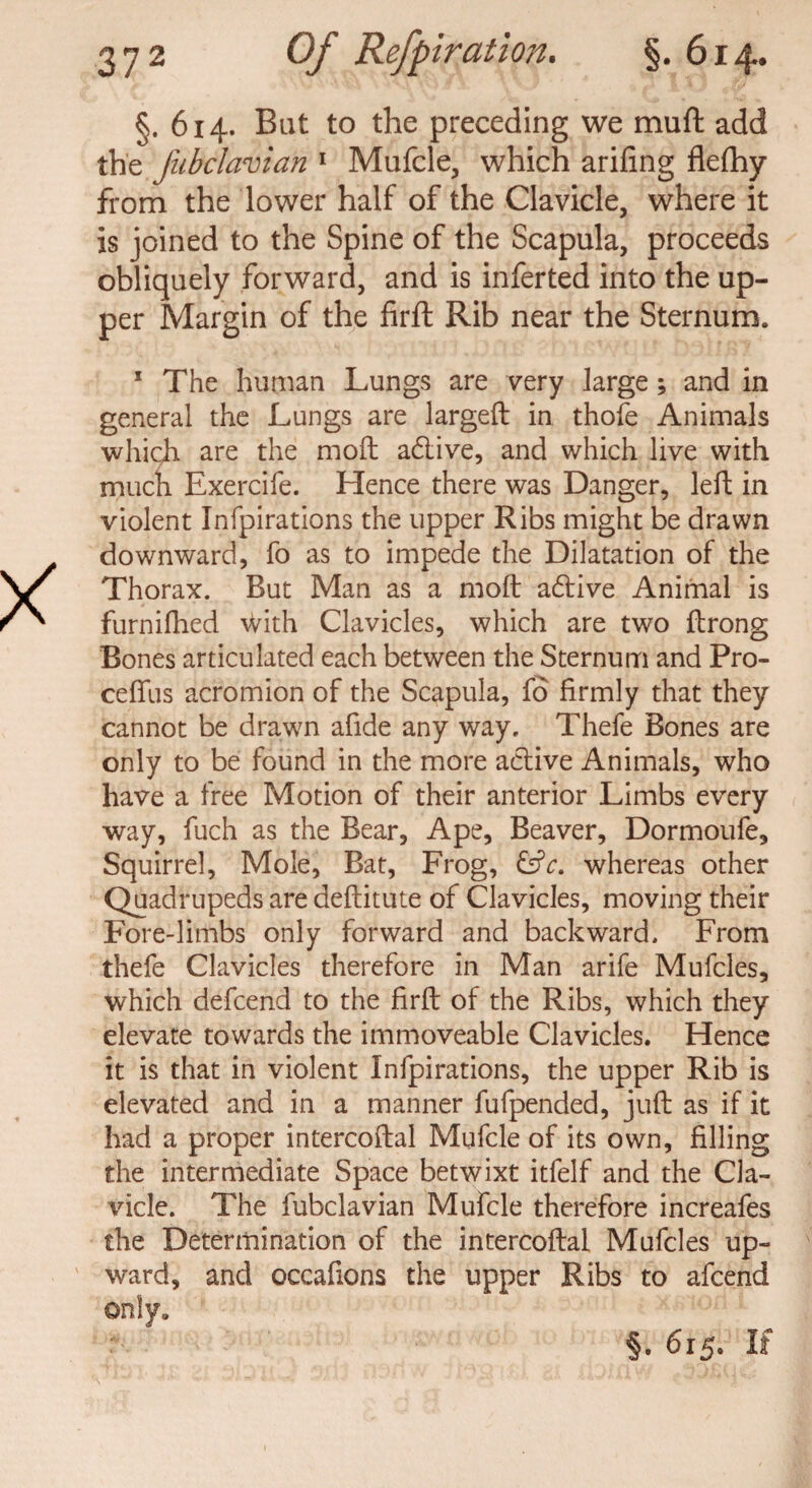 §. 614. Bat to the preceding we muft add the Jubclavian 1 Mufcle, which arifing flefhy from the lower half of the Clavicle, where it is joined to the Spine of the Scapula, proceeds obliquely forward, and is inferted into the up¬ per Margin of the firft Rib near the Sternum. 1 The human Lungs are very large ; and in general the Lungs are largeft in thofe Animals which are the moft adive, and which live with much Exercife. Hence there was Danger, left in violent Infpirations the upper Ribs might be drawn downward, fo as to impede the Dilatation of the Thorax. But Man as a moft adive Animal is furnifhed \Vith Clavicles, which are two ftrong Bones articulated each between the Sternum and Pro- ceftiis acromion of the Scapula, fo firmly that they cannot be drawn afide any way, Thefe Bones are only to be found in the more adive Animals, who have a free Motion of their anterior Limbs every way, fuch as the Bear, Ape, Beaver, Dormoufe, Squirrel, Mole, Bat, Frog, &c. whereas other Quadrupeds are deftitute of Clavicles, moving their Fore-limbs only forward and backward. From thefe Clavicles therefore in Man arife Mufcles, which defcend to the firft of the Ribs, which they elevate towards the immoveable Clavicles. Hence it is that in violent Infpirations, the upper Rib is elevated and in a manner fufpended, juft as if it had a proper intercoftal Mufcle of its own, filling the intermediate Space betwixt itfelf and the Cla¬ vicle. The fubclavian Mufcle therefore increafes the Determination of the intercoftal Mufcles up¬ ward, and occafions the upper Ribs to afcend only. §. 615. If