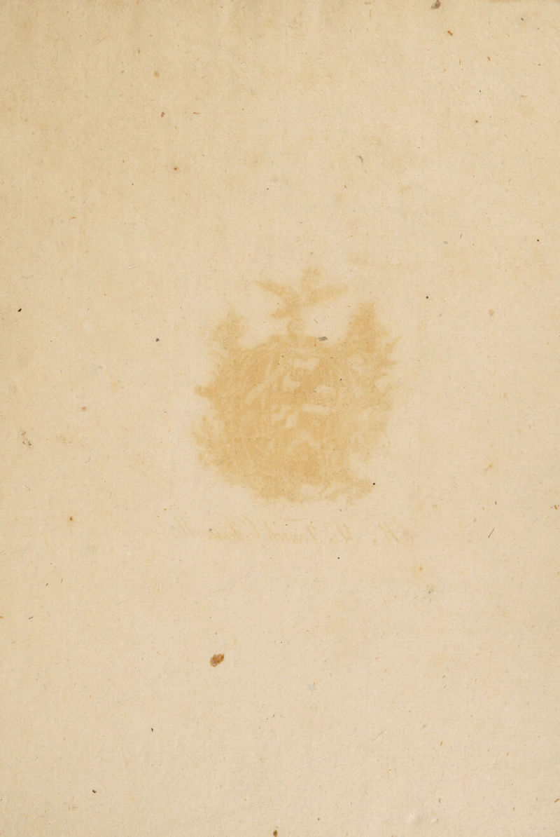 I f .'.y t X‘ / # I