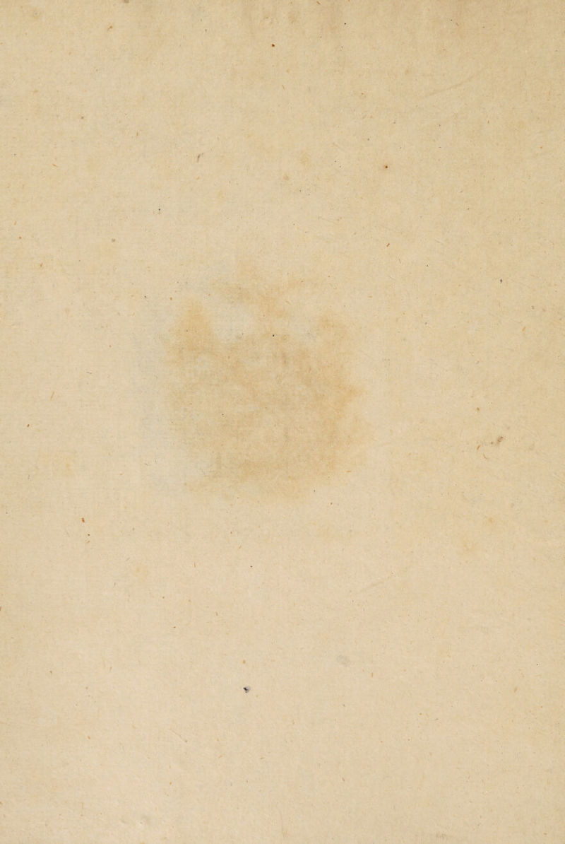 / I \ 4 V I %> V- \ % / \ \