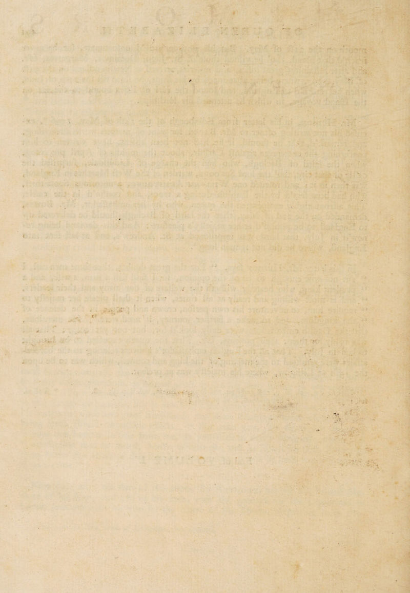 ' * / * •r • / K ' v f * c * t* , . - -V j V* * . i ' - - / -.V- i • - • . v ■ V . . . ■ 31