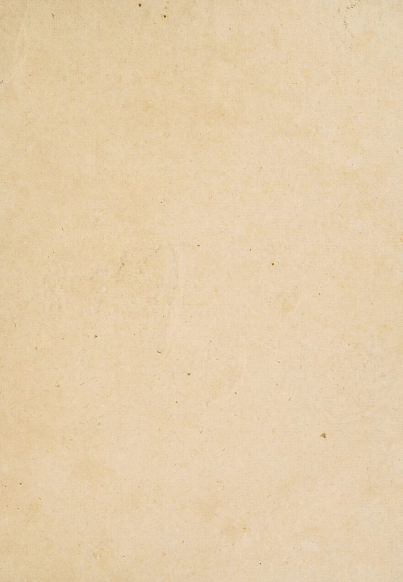 I *■ % V ' t * *. { ! /