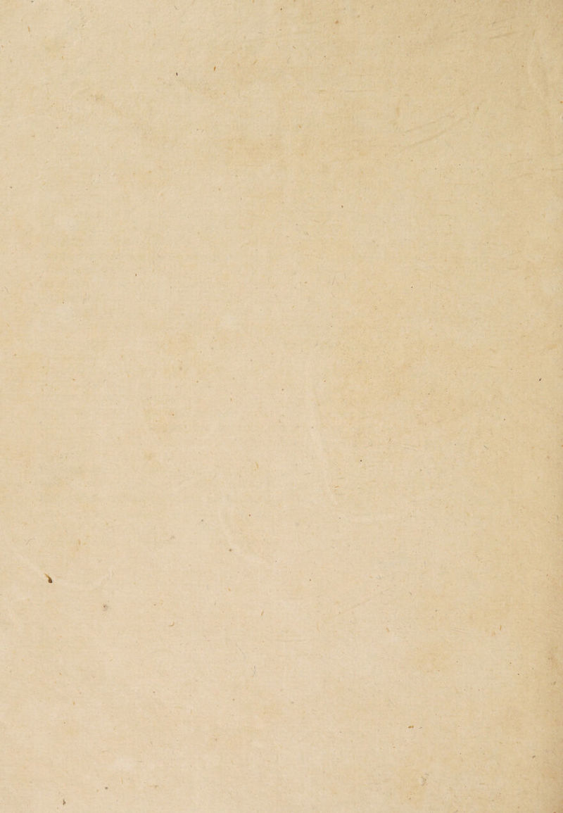 \ \ \ 1 X \ . / *»• t i -■ ■■!> . ■ i i