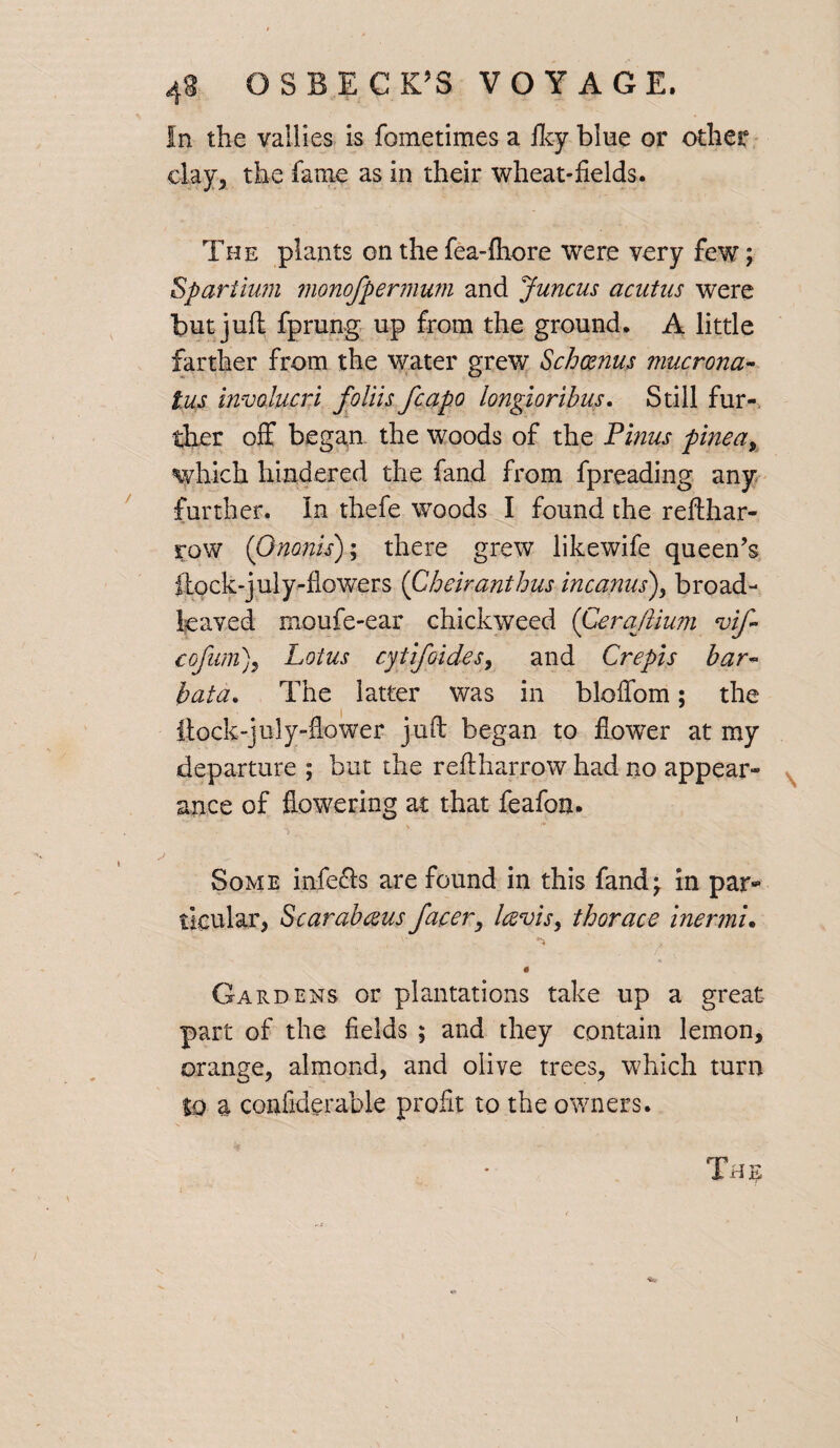 4e OSBECH VOYAG E. In the vallies is fometimes a iky blue or other clay, the fame as in their wheat-fields. The plants on the fea-fhore were very few; Spartium monofpermum and Juncus acutus were but juft fprung up from the ground. A little farther from the water grew Schosnus mucrona- tus involucri foliis fcapo longioribus. Still fur¬ ther off began the woods of the Pinus pinea, which hindered the fand from fpreading any further. In thefe woods I found the refthar- row (Ononis); there grew likewife queen’s flock-july-flowers (C heir ant bus incanus)y broad¬ leaved moufe-ear chickweed (CerajUum vif cofum), Lotus cytifoides, and Crepis bar~ bata» The latter was in bloffom; the ftock-july-fiower juft began to flower at my departure ; but the reft harrow had no appear¬ ance of flowering at that feafon. Some infers are found in this fand;. in par¬ ticular, Scar abacus facer, lavis, thorace inermu 0 Gardens or plantations take up a great part of the fields ; and they contain lemon, orange, almond, and olive trees, which turn to a coniiderable profit to the owners. Th$
