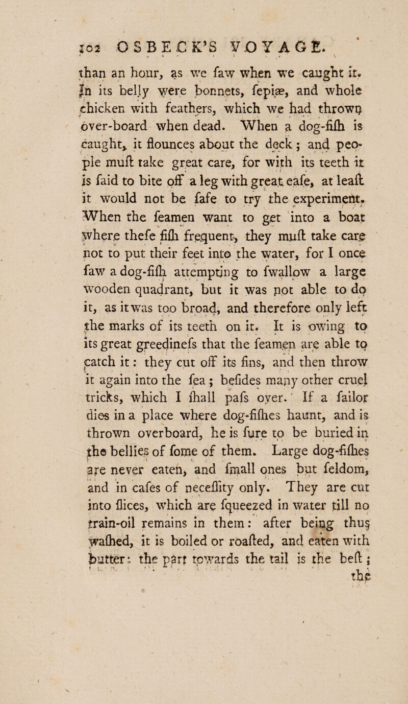 ‘•M * l I i f , V than an hour, as we faw when we caught it* jfn its belly yvere bonnets, fepia?, and whole chicken with feathers, which we had thrown over-board when dead. When a dog-filh is caught* it flounces about the deck; and peo¬ ple muff take great care, for with its teeth it is faid to bite off* a leg with great eafe, at leail it would not be fafe to try the experiment* When the feamen want to get into a boat where thefe fifh frequent* they muft take care not to put their feet into the water, for I once faw a dog-fifli attempting to fwallow a large wooden quadrant, but it was pot able to do it, as it was too broad, and therefore only left the marks of its teeth on it. It is owing to its great greedinefs that the feamen are able to catch it: they cut off its fins, and then throw it again into the fea ; befides many other cruel tricks, which I fhall pafs oyer.' If a failor dies in a place where dog-fifties haunt, and is thrown overboard, he is fure to be buried in the bellies of fome of them. Large dog-fifties are never eaten, and final! ones but feldom, and in cafes of neceffity only. They are cut into flices, which are fqueezed in water till no train-oil remains in them: after being thu§ wafhed, it is boiled or roafted, and eaten with butter*, the parr tpwards the tail is the beft:;