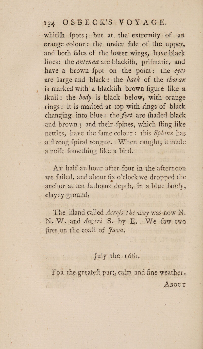 whkifli fpots; but at the extremity of an orange colour : the under fide of the upper, and both fides of the lower wings, have black lines: the antenna are blackifh, prifmatic, and have a brown fpot on the point: the eyes are large and black: the back of the thorax is marked with a blackfill brown figure like a Jkull: the body is black below, with orange rings: it is marked at top with rings of black changing into blue: the feet are fhaded black and brown ; and their lpines, which fling like nettles, have the fame colour : this Sphinx has a ftrong fpiral tongue. When caught, it made a noife fcmething like a bird. At half an hour after four in the afternoon we failed, and about fix o’clock we dropped the anchor at ten fathoms depth, in a blue fandy, clayey ground. The illand called Acrofs the way was now N, N. W. and Angeri S. by E. We faw two fires oti the coal! of Javaf July the 16th. For the greatefl part, calm and fine weather About