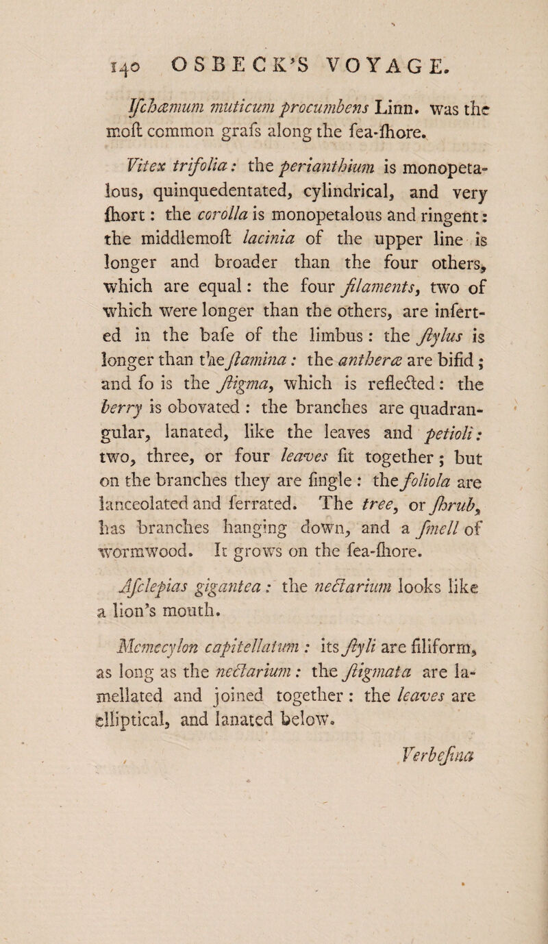 Jfchamum muticum procujnbens Linn, was the mod common grafs along the fea-fhore. Fit ex trifolia: the perianthium is monopeta- lous, quinquedentated, cylindrical and very fhort: the corolla is monopetalous and ringent: the middlemofl lacinia of the upper line is longer and broader than the four others, which are equal: the four filaments, two of which were longer than the others, are infert- ed in the bafe of the limbus: the fiylus is longer than theJlamina: the antherce are bifid; and fo is the fiigma, which is reflected: the berry is obovated : the branches are quadran¬ gular, lanated, like the leaves and petioli: two, three, or four leaves fit together; but on the branches they are Angle : xht folio la are ianceolated and ferrated. The tree, or Jhrub, has branches hanging clown, and a fmell of wormwood. It grows on the fea-fhore. Afclepias gigantea: the neclarium looks like a lion’s mouth. Memecylon capitellaium : Itsfiyli are filiform, as long as the neblarium: the fiigmata are la» mellated and joined together : the leaves are elliptical, and lanated below. Verbefina
