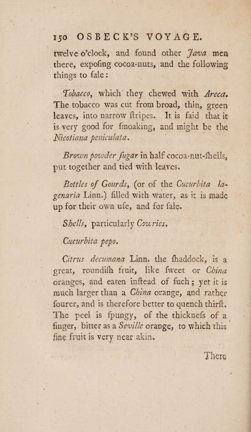 twelve o’clock, and found other Java meu there, expofmg cocoa-nuts, and the following things to fale: Tobacco, which they chewed with Areca. The tobacco was cut from broad, thin, green leaves, into narrow flripes. It is faid that it is very good for fmoaking, and might be the Jdicotiana peniculata. Brown powder fugar in half cocoa-nut-ihells, put together and tied with leaves. Bottles of Gourds, (or of the Cucurbit a la* genaria Linn*) filled with water, as it is made up for their own ufe, and for fale. Shells, particularly Cowries« Cucurbit a pepo, Citrus decumana Linn, the fhaddock, is a great, roiindiih fruit, like fweet or China oranges, and eaten iuftead of fuch; yet it is much larger than a China orange, and rather fourer, and is therefore better to quench thirfh The peel is fpungy, of the thicknefs of a finger, bitter as a Seville orange, to which this fine fruit is very near akin. There