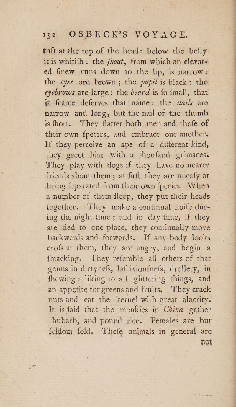 tuft at the top of the head: below the belly it is whitifh : the fnout> from which an elevate ed Anew runs down to the lip, is narrow : the eyes are brown ; the pupil is black : the eyebrows are large: the beard is fo fmall, that it fcarce deferves that name : the nails are narrow and long, but the nail of the thumb is iliort. They flatter both men and thofe of their own fpecies, and embrace one another. If they perceive an ape of a different kind, they greet him with a thoufand grimaces. They play with dogs if they have no nearer friends about them ; at flrft they are uneafy at being feparated from their own fpecies. When a number of them fleep, they put their heads together. They make a continual nolfe dur¬ ing the night time ; and in day time, if they are tied to one place, they continually move backwards and forwards. If any body looks crofs at them, they are angry, and begin a fmackijig. They refemble all others of that genus in dirtynefs, lafcivioufuefs, drollery, in Clewing a liking to all glittering things, and an appetite for greens and fruits. They crack nuts and eat the kernel with great alacrity. It isfaid that the monkies in China gather rhubarb, and pound rice. Females are but feldora fold. Thefe animals in general are pot