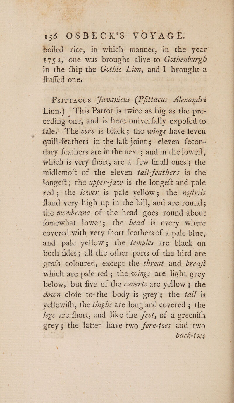 boiled rice, in which manner, in the year 175 2, one was brought alive to Gothenburgh in the fhip the Gothic Lion, and I brought a Huffed one. Psittacus Javanicus (Ffittacus Alexandra Linn.) This Parrot is twice as big as the pre¬ ceding one, and is here univerfally expofed to fale. The cere is black; the wings have feven quill-feathers in the laffc joint; eleven fecon- dary feathers are in the next; and in the lowed:, which is very fhort, are a few fmall ones; the midlemofi of the eleven tail-feathers is the longed; the upper-jaw is the longed and pale red ; the lower is pale yellow; the noflrils dand very high up in the bill, and are round; the membrane of the head goes round about fomewhat lower; the head is every where covered with very fliort feathers of a pale blue, and pale yellow ; the temples are black 011 both fides; all the other parts of the bird are grafs coloured, except the throat and breafi which are pale red ; the wings are light grey below, but five of the coverts are yellow ; the down clofe to- the body is grey ; the tail is yellowifli, the thighs are long and covered ; the kgs are diort, and like the feet, of a greeniffi grey; the latter have two fore-toes and two back-toes, V