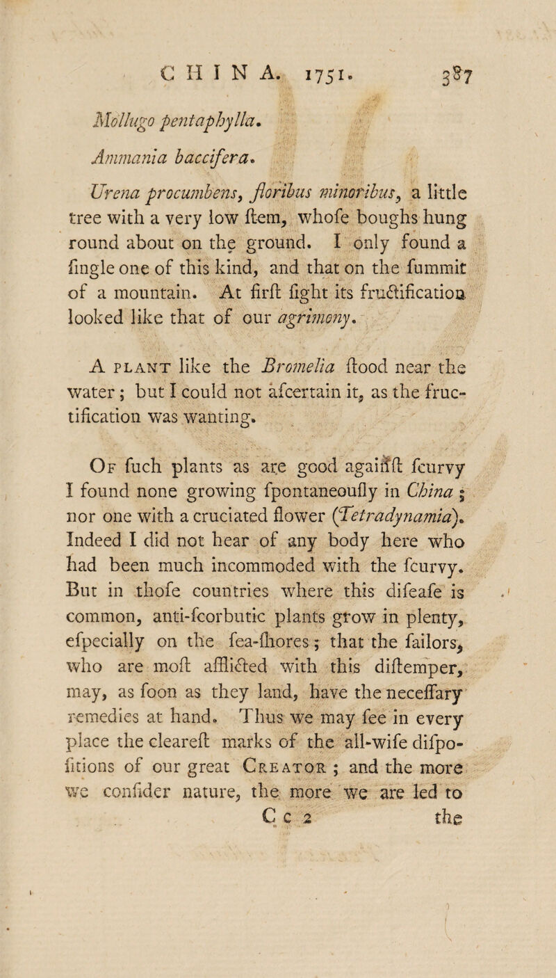 Mollugo pentaphylla. Ammania baccifera. Urena procumbens, floribus minonibw, a little tree with a very low ftem, whofe boughs hung round about on the ground. I only found a Angle one of this kind, and that on the fummit of a mountain. At firft fight its fnnftificatioa looked like that of our agrimony. A plant like the Bromelia flood near the water; but I could not afcertain it, as the fruc¬ tification was wanting. Of fuch plants as are good again ft fcurvy I found none growing fpontaneoufly in China % nor one with a cruciated flower (Tetradynamia). Indeed I did not hear of any body here who had been much incommoded with the fcurvy. But in thofe countries -where this difeafe is common, anti-fcorbutic plants grow in plenty, efpecially on the fea-fliores; that the failors* who are moft affli&ed with this diftemper, may, as foon as they land, have the neceflary remedies at hand. Thus we may fee in every place the cleared: marks of the all-wife clifpo- fitions of our great Creator ; and the more we confider nature, the more we are led to C c 2 the