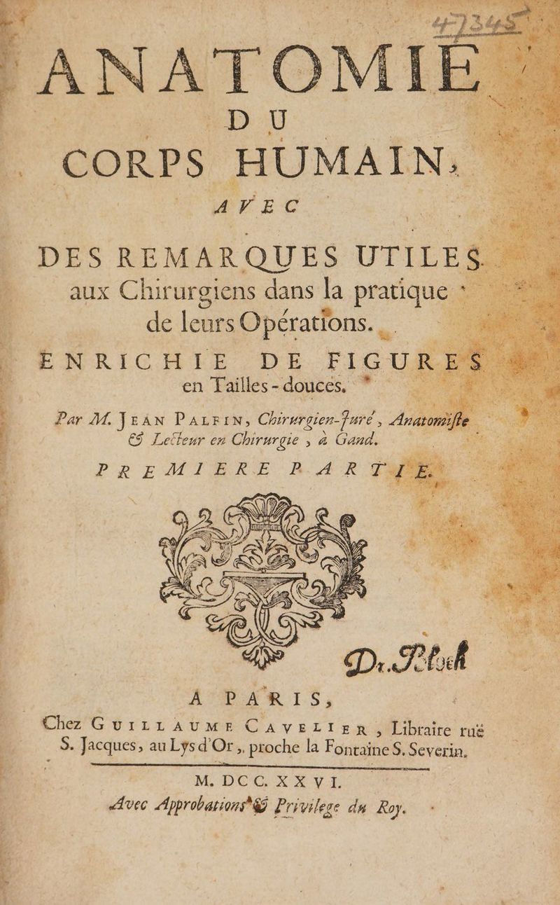 REIMS EN : ANATOMII à CORPS HUMAIN: AVEC AT ; DE S REMARQUES UTILE. | aux Chirurgiens dans la prafiqus de leurs O pérations. ; ÉNRICHIE DE FIGUI en Tailles - douces. * M. JEAN PALR IN; Chirurgien-furé, A | h € Leileur en Chirurgie , a Gañdi 1 PREMIERE R. AR JT À Die is, Chez GuriLAUME Ca v EL TI + me ; Libraire ruë _S. Jacques, au Lys d’ Or; proche La Fontaines. Severin, FM DCC XI | Avec Approbarionsf Privilege du Roy. +