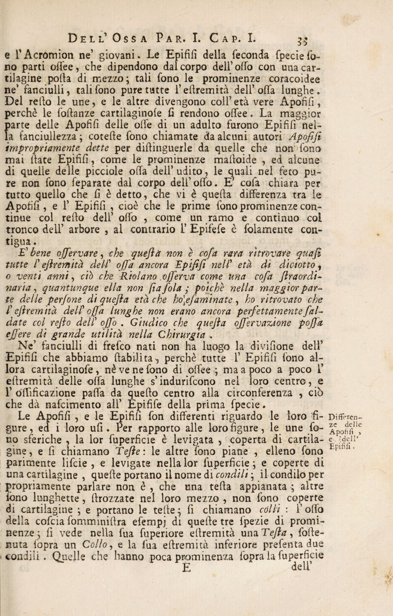 e rAcromion ne’ giovani. Le Epififi della feconda fpecìefo- no parti offee, che dipendono dal corpo deli’ offo con una car¬ tilagine porta di mezzo; tali fono le prominenze coracoidee ne* fanciulli, tali fono pure tutte 1’ eftremità dell’offa lunghe» Del rerto le une, e le altre divengono coll’età vere Apofifi, perchè le foftanze cartilaginofe.fi rendono ortee. La maggior parte delle Apofifi delle offe di un adulto furono Epififi nel¬ la fanciullezza ; cotefte fono chiamate da alcuni autori Apofifi impropriamente dette per dirtinguerie da quelle che non fono mai fiate Epififi, come le prominenze mafioide , ed alcune di quelle delle picciole offa dell’udito, le quali nel feto pu¬ re non fono feparate dal corpo deli’offo. Ef cofa chiara per tutto quello che fi è detto, che vi è quella differenza tra le Apofifi, e 1’ Epififi , cioè che le prime fono prominenze con¬ tinue col rerto dell’ offo , come un ramo e continuo col tronco dell’ arbore , al contrario L’ Epifefe è (blamente con¬ tigua . .E’ bene ojfiervare, che quefia non è cofa rara ritrovare qua fi tutte P eftremità dell’ offa ancora Epififi nell’ età di di et otto, 0 venti anni, ciò che Ridiano ,0ferva come una cofa firaordi- naria, quantunque ella non fa fola y poiché nella maggior par¬ te delle perjone di quefia età che ho\efiaminate, ho ritrovato che f eftremità de IP offa lunghe non erano ancora perfettamente fal¬ date col refio dell’ offo . Giudico che quefia ojjìrvazione poffa ejj'ere di grande utilità nella Chirurgia . Ne’ fanciulli di frefco nati non ha luogo la divifione dell’ Epififi che abbiamo (labilità>, perchè tutte 1’ Epififi fono al¬ lora cartilaginofe, nè ve ne fono di offee; ma a poco a poco 1’ eftremità .delle offa lunghe s’indurirono nel loro centro, e 1’ offificazione paffa da quefio centro alla circonferenza , ciò che dà nafcimento all’ Epifife della prima fpccie. Le Apofifi , e le Epififi fon differenti riguardo le loro fi¬ gure , ed i loro ufi . Per rapporto alle loro figure, le une fo¬ no sferiche , la lor fuperfìcie è levigata , coperta di cartila¬ gine, e fi chiamano Tefte: le altre fono piane , elleno fono parimente lifcie , e levigate nella lor fuperfìcie; e coperte di una cartilagine , quelle portano il nome di condili ; il condilo per propriamente parlare non è , che una teda appianata ; altre fono lunghette, ftrozzate nel loro mezzo , non fono coperte di cartilagine ; e portano le tefte; fi chiamano còlli : l’offo della cofcia fomminirtra efempj di quefte tre fpezie di promi¬ nenze ; fi vede nella fua fuperiore efiremità unaT^/?, fofte- nuta fopra un Collo, e la fua eftremità inferiore prefenta due condili. Quelle che hanno poca prominenza fopra la fuperfìcie E dell’ Differen¬ ze delle Apofifi > e , ?deJl’ Epififi.