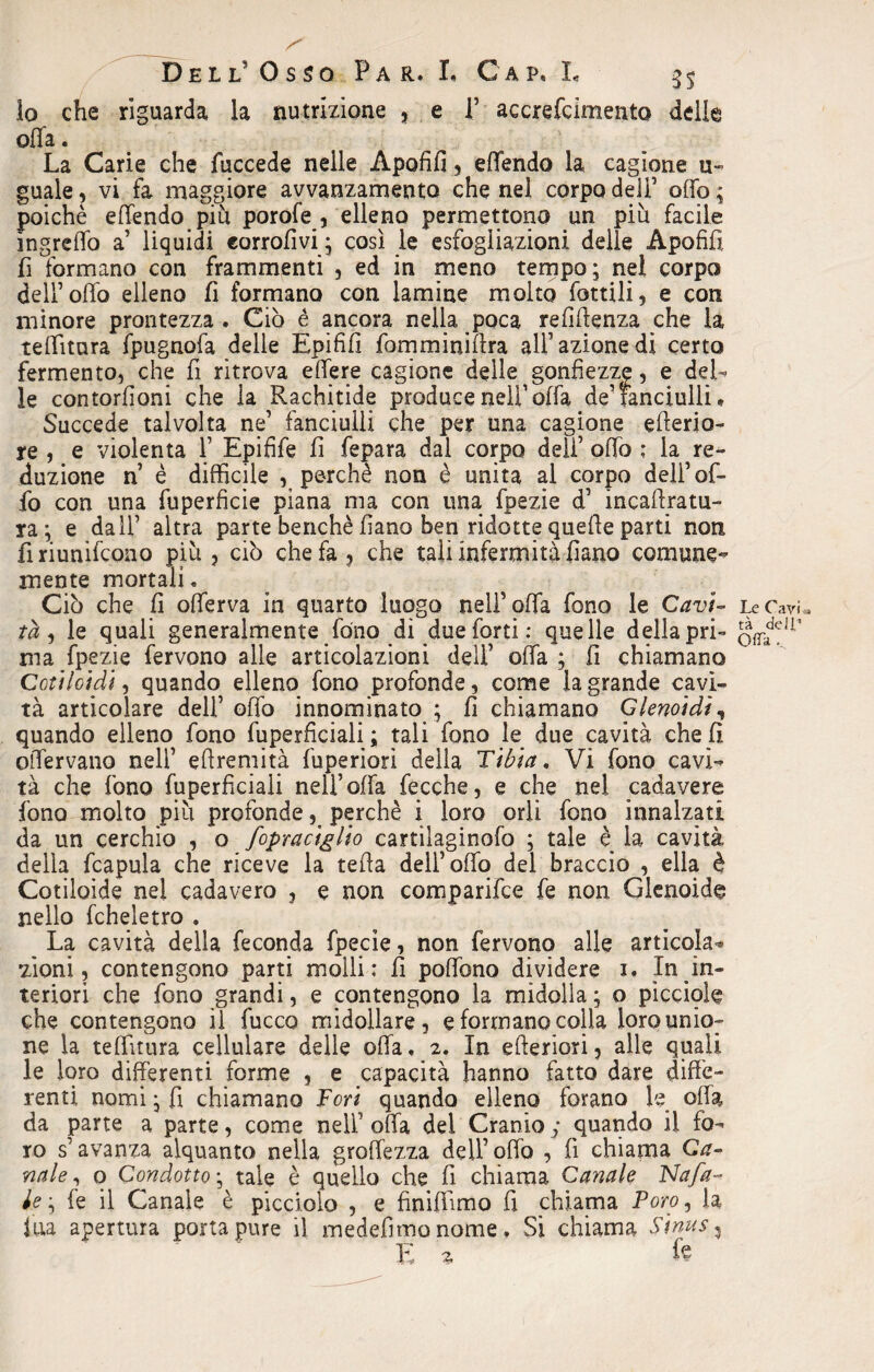 lo che riguarda la nutrizione , e i’ accrefcimento delle offa. La Carie che fuccede nelle Apofìfi, effendo la cagione u« guale, vi fa maggiore avvanzamenta che nel corpo deli’ olio ; poiché effendo più porofe , elleno permettono un più facile ingreffo a liquidi corrofivi ; così le esfogliazioni delle Apofifì fi formano con frammenti , ed in meno tempo; nel corpo dell’offo elleno lì formano con lamine molto Lottili, e con minore prontezza. Ciò è ancora nella poca refiffenza che la teffitura fpugnofa delle Epififi fomminiftra all azione di certo fermento, che fi ritrova effere cagione delle gonfiezze, e del- le contorfioni che la Rachitide produce nell1 offa de’ fanciulli, Succede talvolta ne’ fanciulli che per una cagione e fieri a- re , e violenta I Epifife fi fepara dal corpo del! offo ; la re¬ dazione n è difficile , perchè non è unita al corpo deli’of¬ fo con una fuperficie piana ma con una fpezie d’ incafiratu- ra; e dal! altra parte benché fiano ben ridotte quelle parti non fi riunirono più , ciò che fa , che tali infermità fiano comune- mente mortali. Ciò che fi offerva in quarto luogo nell’offa fono le Cavi¬ ta ^ le quali generalmente fono dì due forti: quelle della pri¬ ma fpezie fervono alle articolazioni dell’ offa ; fi chiamano Coti Ioidi, quando elleno fono profonde, come la grande cavi¬ tà articolare deli’offo innominato ; fi chiamano Glenoidi, quando elleno fono fuperficialitali fono le due cavità che f! offervano nell’ efirenfità fuperiorì della Tibia. Vi fono cavi¬ tà che fono fuperficiali nell’offa fecche, e che nel cadavere fono molto piu profonde, perchè i loro orli fono innalzati da un cerchio , o fopraciglio cartìlaginofo ; tale è la cavità della fcapula che riceve la tefia dell’offo del braccio , ella è Cotiloide nei cadavero , e non comparile fe non Glenoide nello fcheletro . La cavità della feconda fpecie, non fervono alle articola-* zioni, contengono parti molli: fi poffono dividere i. In in¬ teriori che fono grandi, e contengono la midolla ; o pìcciole che contengono il fucco midollare, e formano colla lorounio^ ne la teffìtura cellulare delle offa, 2. In efteriori, alle quali le loro differenti forme , e capacità hanno fatto dare diffe¬ renti nomi ; fi chiamano Fori quando elleno forano le offa da parte a parte, come nell’offa del Cranio; quando il fo¬ ro s’avanza alquanto nella groffezza del! offo , fi chiama Ca¬ nale, o Condotto ; tale è quello che fi chiama Canale Nafa- le ; le il Canale è picciolo , e fi ni (lìmo fi chiama Poro, la iua apertura porta pure il medefimo nome. Si chiama Sinus ? E z fc Le Cavia tà dei!’ Offa .