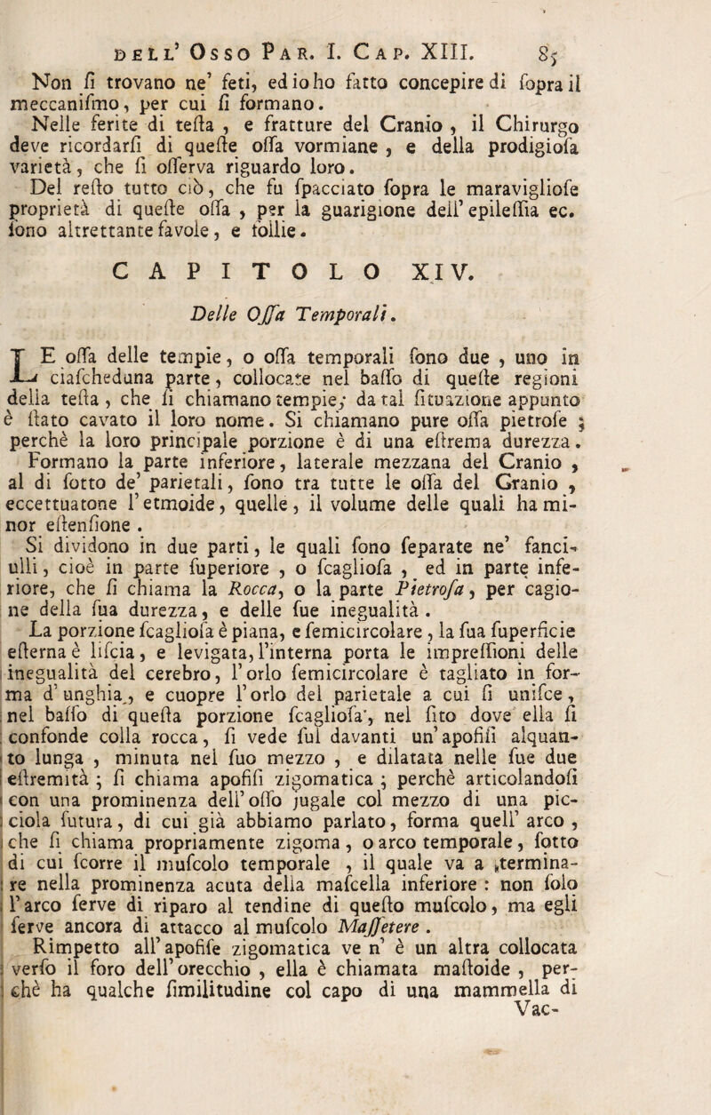 Non fi trovano ne’ feti, ed io ho fatto concepire di foprail meccanifmo, per cui fi formano. Nelle ferite di teda , e fratture del Cranio , il Chirurgo deve ricordarli di quelle offa vormiane , e della prodigiofa varietà, che fi otterva riguardo loro. Del retto tutto ciò, che fu fpacciato fopra le maravigliofe proprietà di quelle otta , per la guarigione deli’epilefìtta ec. fono altrettante favole, e follie. CAPITOLO XIV. Delle Offa Temporali. LE otta delle tempie, o otta temporali fono due , uno in ciafcheduna parte, collocate nel baffo di quelle regioni delia tetta, che li chiamano tempie; datai fituazìone appunto è fiato cavato il loro nome. Si chiamano pure offa pietrofe ; perchè la loro principale porzione è di una ettrema durezza. Formano la parte inferiore, laterale mezzana del Cranio , al di fotto de’ parietali, fono tra tutte le olla del Granio , eccettuatone l’etmoide, quelle, il volume delle quali ha mi¬ nor ellenttone . Si dividono in due parti, le quali fono feparate ne’ fanci¬ ulli , cioè in parte fuperiore , o fcagliofa , _ ed in parte infe¬ riore, che fi chiama la Rocca, o la parte Ptetrofa, per cagio¬ ne della fua durezza, e delle fue inegualità . La porzione fcagliofa è piana, e femicircolare , la fua fuperfìcie etterna è lifcia, e levigata, l’interna porta le imprettìoni delle inegualità del cerebro, l’orlo femicircolare è tagliato in for¬ ma d’unghia,, e cuopre l’orlo del parietale a cui fi unifce, nel baffo di quetta porzione fcagliofa’, nel fito dove ella fi confonde colla rocca, fi vede fui davanti un’ apofifì alquatx- f to lunga , minuta nel fuo mezzo , e dilatata nelle fue due [ eftremità ; fi chiama apofifì zigomatica ; perchè articolandoli con una prominenza dell’otto jugale col mezzo di una pic- ; dola futura, di cui già abbiamo parlato, forma quell’ arco , i che fi chiama propriamente zigoma , o arco temporale, fotto di cui fcorre il mufcoìo temporale , il quale va a ktermina- : re nella prominenza acuta delia mafcella inferiore : non folo , l’arco ferve di riparo al tendine di quefto mufcolo, ma egli ferve ancora di attacco al mufcolo MaJJetere . Rimpetto all’apofife zigomatica ve n’ è un altra collocata j verfo il foro dell’ orecchio , ella è chiamata mattoide , per- i ehè ha qualche fimilitudine col capo di una mammella di Vac-