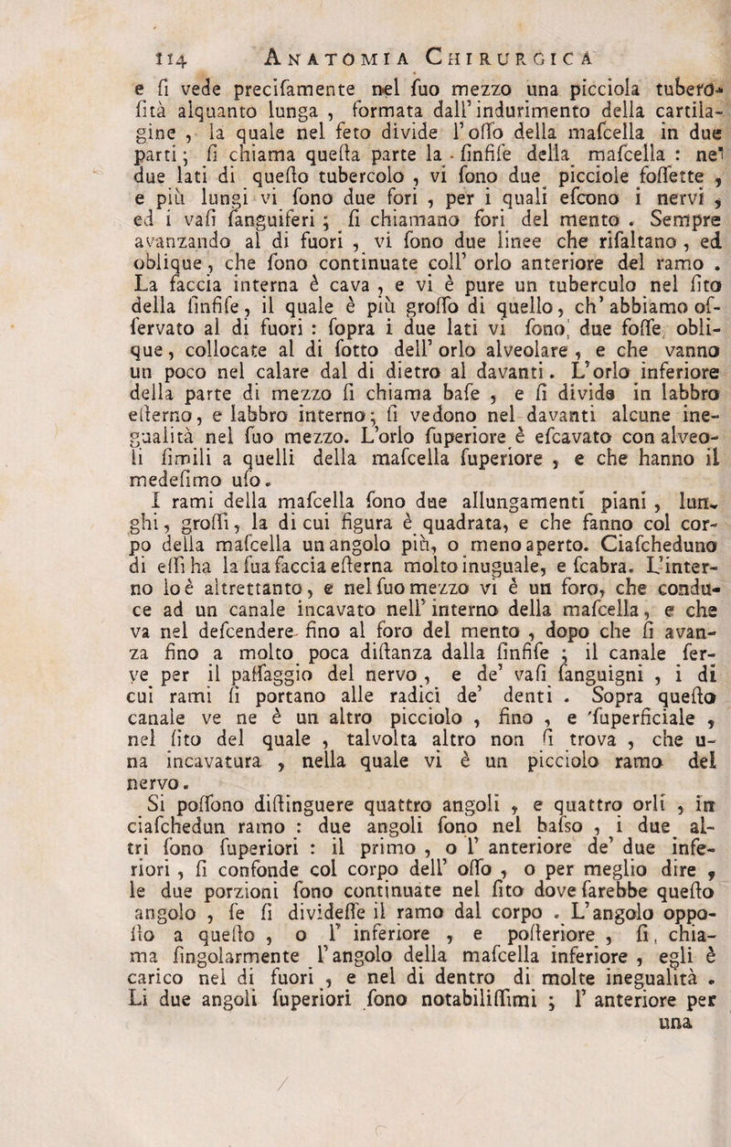 e fi vede precifamente nel Tuo mezzo una piccioia tubero^ fità alquanto lunga , formata dall’indurimento della cartila¬ gine , la quale nel feto divide Fedo delia mafcella in due parti; fi chiama queda parte la ■ finfife della mafcella : ne*! due lati di quedo tubercolo , vi fono due piccìole Moffette , e piu lungi vi fono due fori , per i quali efcono i nervi $ ed i vali fanguiferi ; fi chiamano fori del mento . Sempre avanzando al dì fuori , vi fono due linee che rìfaltano , ed oblique, che fono continuate colf orlo anteriore del ramo . La faccia interna è cava , e vi è pure un tuberculo nel fifa della finfife, il quale è piu groffo di quello, eh’abbiamo of- fervato al di fuori : fopra i due lati vi fono] due foffe obli¬ que , collocate ai di fotto dell’ orlo alveolare , e che vanno un poco nel calare dal di dietro al davanti. Vorlo inferiore della parte di mezzo fi chiama bafe , e fi divide in labbro edema, e labbro interno; fi vedono nel davanti alcune ine¬ gualità nel fuo mezzo. L’orlo fuperiore è efeavato con alveo¬ li fimili a quelli della mafcella fuperiore , e che hanno il medefimo ufo» I rami delia mafcella fono due allungamenti piani , luru ghi, grodì, la di cui figura è quadrata, e che fanno col cor¬ po delia mafcella un angolo piti, o meno aperto. Ciafcheduno di e (fi ha la fu a faccia edema molto inuguale, e fcabra. L’inter¬ no lo è altrettanto, e nel fuo mezzo vi è un foro, che condu¬ ce ad un canale incavato nell’ interno della mafcella, e che va nel defeendere- fino al foro del mento , dopo che fi avan¬ za fino a molto poca didanza dalla fìnfife ; il canale fer¬ ve per il paHaggio del nervo , e de’ vafì fanguigni , i di cui rami fi portano alle radici de’ denti . Sopra quedo canale ve ne è un altro picciolo , fino , e 'fuperficiale * nel fìto del quale , talvolta altro non fi trova , che u- na incavatura , nella quale vi è un picciolo ramo del nervo. Si poffono didìnguere quattro angoli , e quattro orli , in ciafchedun ramo : due angoli fono nel bafso , i due^ al¬ tri fono fuperiori : il primo , o 1’ anteriore de’ due infe¬ riori , fi confonde coi corpo dell’ offo , o per meglio dire f le due porzioni fono continuate nei fito dove farebbe quedo angolo , fé fi divideffe il ramo dal corpo . L’angolo oppo- ilo a quedo , o F inferiore , e poderiore , fi t chia¬ ma fìngolarmente l’angolo della mafcella inferiore, egli è carico nel di fuori , e nel di dentro di molte inegualità * Li due angoli fuperiori fono notabilifiimi ; F anteriore per una / o