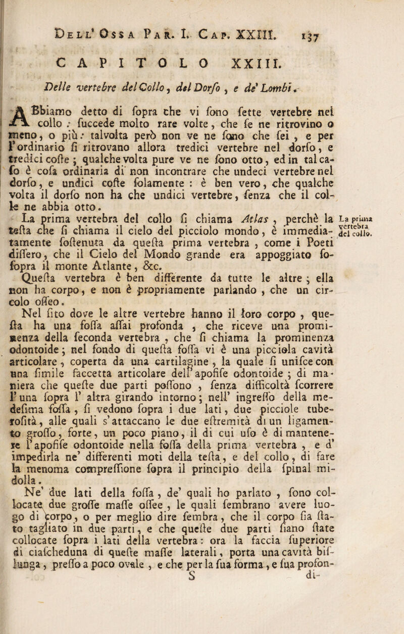 *37 D e l l* O $ s a Par. L Gap. XXIIL CAPITOLO XXIIL Delle vertebre del Collo , del Dorfo , e de' Lombi* A Ubiamo detto di fopra che vi fono fette vertebre nel colio fuccede molto rare volte, che fe ne ritrovino o meno, o più : talvolta però non ve ne fono che fei , e per F ordinario fi ritrovano allora tredici vertebre nel dorfo, e tredici code ; qualche volta pure ve ne fono otto, ed in talea* fo è cofa ordinaria di non incontrare che undeci vertebre nei dorfo, e undici coite fedamente : è ben vero, che qualche volta il dorfo non ha che undici vertebre, Lenza che il col¬ le ne abbia otto. La prima vertebra del collo fi chiama Atlas , perchè la teda cne fi chiama il cielo del picciolo mondo, è immedia¬ tamente fofienuta da quella prima vertebra , come i Poeti difiero, che il Cielo del Mondo grande era appoggiato fo- (òpra il monte Atlante, &c. Quella vertebra è ben differente da tutte le altre ; ella non ha corpo, e non è propriamente parlando , che un cir¬ colo oflfeo. Nel fito dove le altre vertebre hanno il loro corpo , que¬ lla ha una folla affai profonda , che riceve una promi¬ nenza della feconda vertebra , che fi chiama la prominenza odontoide ; nel fondo di quella folfa vi è una picciola cavità articolare , coperta da una cartilagine , la quale fi unifee con una limile faccetta articolare deli apofife odontoide ; di ma* niera che quelle due parti pofiono , fenza difficoltà feorrere F una fopra F altra girando intorno ; nelF ingrefiò delia me¬ de firn a fofia , fi vedono fopra i due lati, due picciole tube- rofìtà, alle quali s’attaccano le due eftremità di un ligamen- to grofio, forte, un poco piano, il di cui ufo è di mantene¬ re F apofife odontoide nella folfa della prima vertebra , e d’ impedirla ne’ differenti moti della teda, e del collo, di fare la menoma comprefiìone fopra il principio della fpinai mi¬ dolla . Ne’ due lati della folfa , de’ quali ho parlato , fono col¬ locata due graffe mafie offee , le quali fembrano avere luo¬ go di Corpo, o per meglio dire fembra, che il corpo fia fia¬ to tagliato in due parti , e che quelle due parti nano fiate collocate fopra i lati della vertebra : ora la faccia fuperiore di ciafcheduna di quefte mafie laterali, porta una cavità bif¬ fai] ga , predo a poco ovale , e che per la fua forma, e fua profon- S di- La prima vertebra del collo.