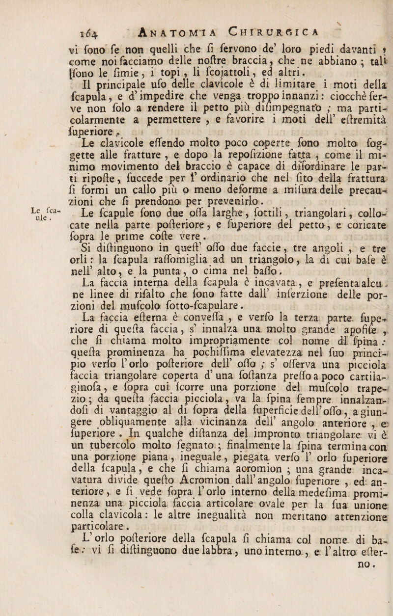 Le rea¬ li le . 164 Anatomia Chirurgica vi fono fe non quelli che fi fervono de’ loro piedi davanti 1 come noi facciamo delle nofire braccia, che ne abbiano ; tali [fono le firme* i topi, li fcojattoli, ed altri. Il principale ufo delle clavicole è di limitare i moti della fcapula, e d’impedire che venga troppo innanzi : ciocché fer¬ ve non folo a rendere il petto più difimpegnat’o ; ma parti¬ colarmente a permettere , e favorire i moti deli’ efiremità lupe riore Le clavicole effendo molto poco coperte fono molto fog- gette alle fratture , e dopo la repofìzìone fatta , come il mi¬ nimo movimento del braccio è capace di diiordinare le par¬ ti ripofie, fuccede per f ordinario che nel fito della frattura fi formi un callo più p meno deforme a mi fura delie precau¬ zioni che fi prendono per prevenirlo. Le fcapule fono due offa larghe, lottili, triangolari, collo¬ cate nella parte pofieriore, e fuperiore del petto, e coricate fopra le prime code vere. Si difiinguono in quell’ ofio due faccie, tre angoli , e tre orli: la fcapula raffomiglia ad un triangolo, la di cui bafe è nell’ alto, e la punta, o cima nel bado. La faccia interna della fcapula è incavata, e prefenta alcu - ne linee di rifalto che fono fatte dall’ inferzione delle por¬ zioni del mufcolo fotto-fcapulare. La faccia edema è convella , e verfo la terza parte fupe¬ riore di quella faccia, s innalza una molto grande apofilè , che fi chiama molto impropriamente col nome di fpina : quella prominenza ha pochi filma elevatezza nel fuo princi¬ pio verfo l’orlo pofieriore dell’ olio y s olferva una piceiola faccia triangolare coperta d’una fofianza prefio a poco cartiia- ginofa, e fopra cui {corre una porzione del mufcolo trape¬ zio; da quella faccia piceiola, va la fpina fempre innalzan- dofi di vantaggio al di fopra della fuperficie dell’ofld, a giun¬ gere obliquamente alla vicinanza dell’ angolo anteriore , e fuperiore . In qualche difianza del impronto triangolare vi è un tubercolo molto fegnato ; finalmente la fpina termina con una porzione piana, ineguale, piegata verfo 1’ orlo fuperiore della {capala, e che fi chiama aoromion ; una grande inca¬ vatura divide quefto Acromion dall’angolo fuperiore , ed an¬ teriore, e fi vede fopra l’orlo interno della medefima promi¬ nenza una piceiola faccia articolare ovale per la fua unione colla clavicola: le altre inegualità non mentano attenzione particolare. L’orlo pofieriore della fcapula fi chiama col nome di ba¬ fe: vi fi difiinguono due labbra, uno interno, e l’altro efier- no.