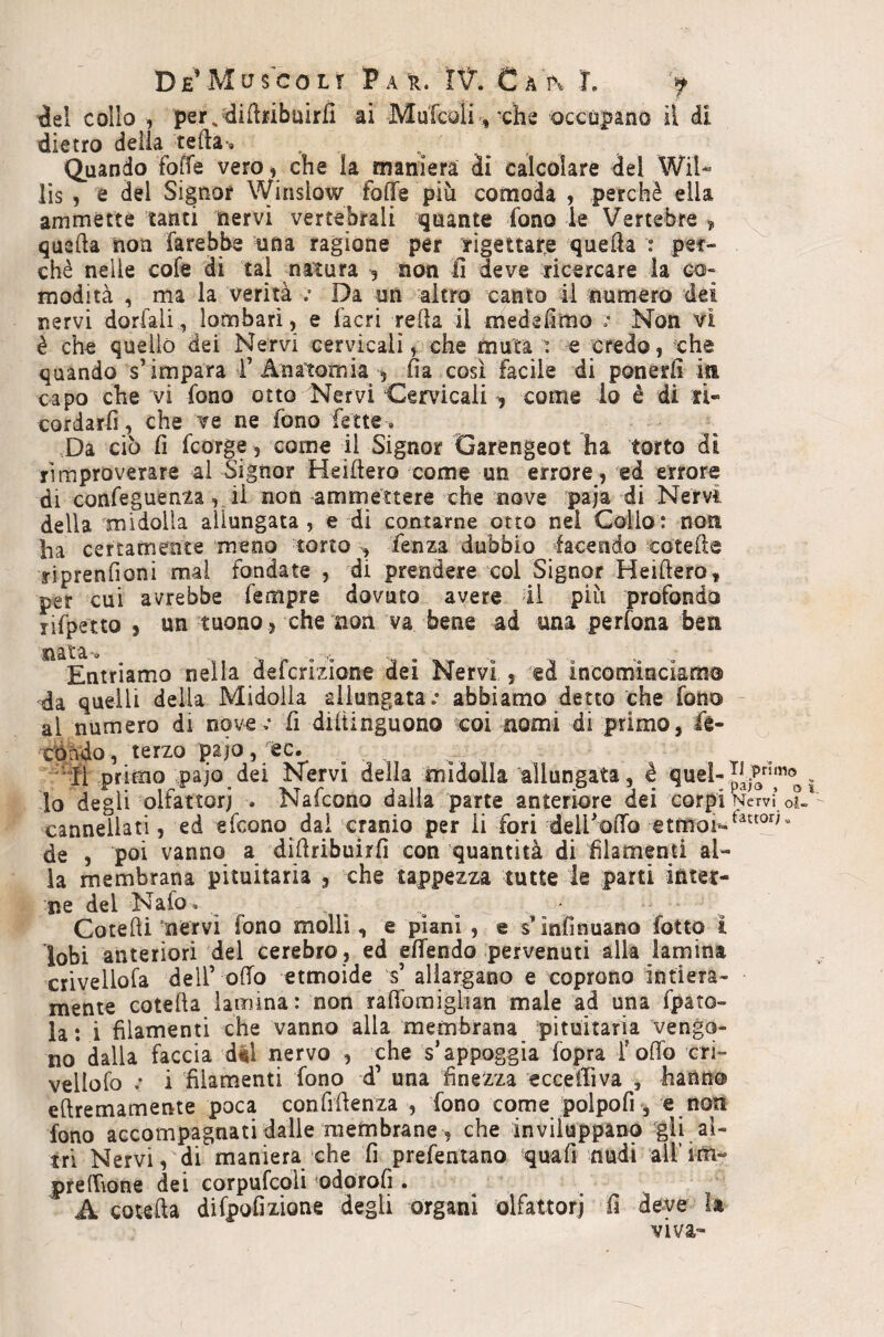 ^el collo , per,?di{ìnbuirfi ai Mufcoli^ xhs occupano il di dietro della teda» Quando foffe vero » che la maniera ài calcolare del Wil* lis , e del Signor Winslow foffe più comoda , perchè ella ammette tanti nervi vertebrali quante fono le Vertebre ^ quella non farebbe una ragione per rigettare quella : pet^ che nelle cole di tal uatura ^ non fi deve ricercare la co- modità , ma la verità .• Da un altro canto il numero dei nervi dorfali, lombari, e facri refia il medefimo ^ Non vi è che quello dei Nervi cervicali, che muta t e credo, che quando s’impara 1’Anatomia , fia così facile di ponerfi in capo che vi fono otto Nervi Cervicali ^ come io è di ri- cordarfi, che ve ne fono fette. .Da ciò fi fcorge, come il Signor Garengeot ha torto di rimproverare al Signor Heiftero come un errore, ed errore di confegueaia ,11 non ammettere che nove paja di Nervi della'midolla allungata, e di contarne otto nel Collo: non ha certamente meno torto , fenza dubbio facendo coteffe yiprenfioni mal fondate , di prendere col Signor Heiftero^ per cui avrebbe Tempre dovuto avere il più profondo rifpetto 5 un tuono , che non va bene ad una perfona ben nata- Entriamo nella defcrizione dei Nervi , ed incominciamo da quelli della Midolla allungata.* abbiamo detto che fono - al numero di nove.* fi diftinguono «coi nomi di primo, fe- 'ec. terzo pajo, '■'il primo pajo dei Nervi della midolla allungata , è quel- lo degli olfattori . Nafcono dalla parte anteriore dei corpi Nervi’oi cannellati, ed efcono dal 'cranio per li fori deiroffo etmoi^^^“°^^ de , poi vanno a diftribuirfi con quantità di filamenti al¬ la membrana pituitaria , che tappezza tutte le parti intet- O ì ne del Nafo^ Cotefti nervi fono molli, e piani , e s’ìnfinuano fotto ì lobi anteriori del cerebro , ed effendo pervenuti alla lamina crivellofa dell’ offo etmoide s’ allargano e coprono intiera¬ mente cotefta iaimina : non rafforaiglian male ad una fpato- la: i filamenti che vanno alla membrana pituitaria vengo¬ no* dalla faccia dal iiervo , che s’appoggia fopra Toffo cri- vellofo .* i filamenti fono d’ una finezza ecceiriva , hanno eftremamente poca confiftenza , fono come polpofi, e non fono accompagnati dalle membrane, che inviluppano '^gli al¬ tri Nervi, di maniera che fi prefentano ‘quafi nudi airirti- prelhone dei corpufcoli ^odorofi. A cotefta difpofizìone degli organi olfattori fi deve ìa viva-