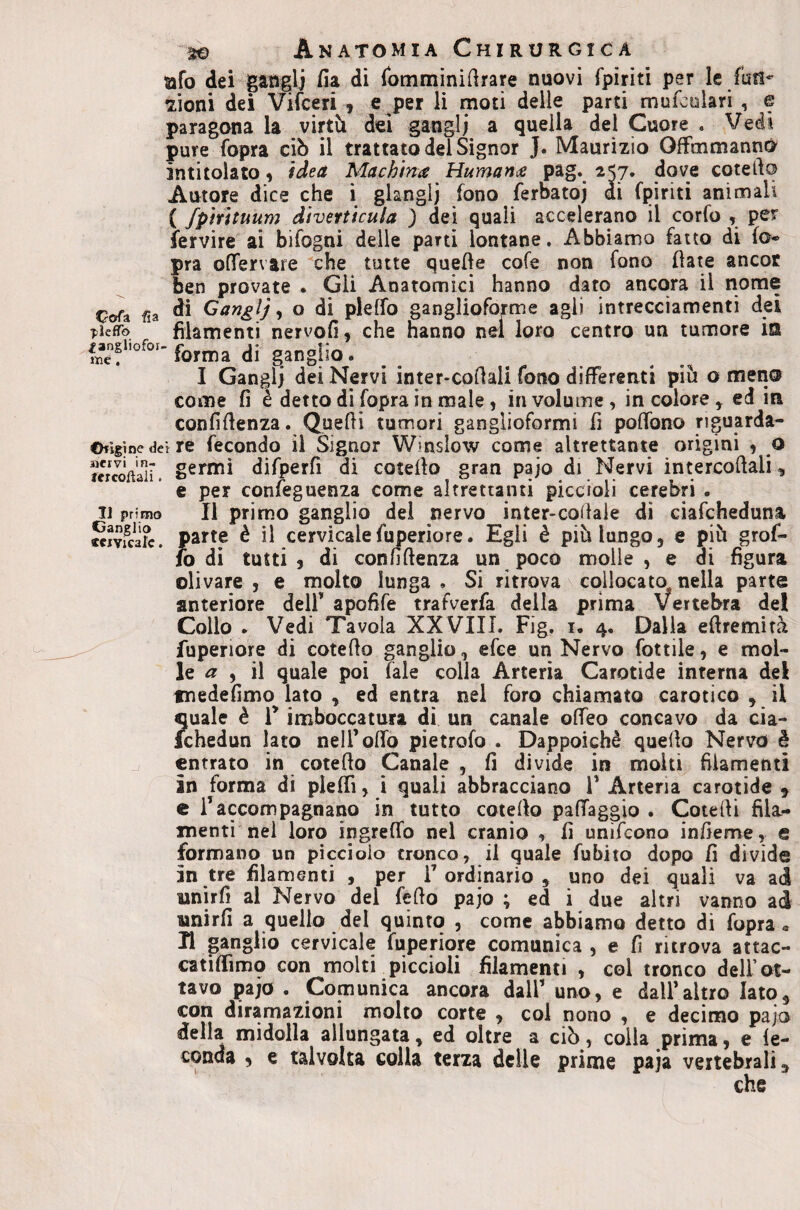 afo dei gatiglj fia di fomminidrare nuovi fpiriti per le fun*- 7Ìoni dei Vifceri , e per li moti delle parti mufcuiari , e paragona la virtìi dei ganglj a quella del Cuore . Vedi pure fopra ciò il trattato del Signor J. Maurizio OfFmmannó intitolato ) idea Machìna Humancs pag. 257. dove cotefto Autore dice che i glanglj fono ferbatoj di fpiriti animali ( fpìrituum diverticuia ) dei quali accelerano il corfo , per fervire ai bifogni delle parti lontane. Abbiamo fatto di fo* pra olTervare ^che tutte quede cofe non fono date ancor ben provate . Gii Anatomici hanno dato ancora il nome Cofa fìa -i o di plcffo ganglloforme agli intrecciamenti dei T^ìeffo filamenti nervofi, che hanno nel loro centro un tumore ia forma di ganglio. I Gangli dei Nervi inter-codali fono differenti piò o meri® come fi è detto di fopra in male , in volume, incolore^ ed in confidenza. Quedi tumori ganglioformi fi podbno riguarda- Ihigine dei re fecondo il Signor Winslow come altrettante origini , o fercofìali’. difperfi di cotedo gran pajo di Nervi intercodali, e per confeguenza come altrettanti piccioli cerebri . Il primo Il primo ganglio dei nervo inter-codale di ciafcheduna Sivfca?c. parte è il cervicalefuperiore. Egli è piò lungo, e piò grof- fo di tutti 5 di confidenza un poco molle , e di figura olivare , e molto lunga . Si ritrova collocato nella parte anteriore dell’ apofife trafverfa della prima Vertebra del Collo . Vedi Tavola XXVIII. Fig. i. 4. Dalia edremità fuperiore di cotedo ganglio, efee un Nervo lottile, e mol¬ le ^ , il quale poi Tale colla Arteria Carotide interna del tnedefimo lato , ed entra nei foro chiamato carotico , il quale è T imboccatura di un canale offeo concavo da cia- Schedun lato nell’odo pietrofo . Dappoiché quedo Nervo è entrato in cotedo Canale , fi divide in molti filamenti in forma di piedi, i quali abbracciano V Arteria carotide ^ e l’accompagnano in tutto cotedo pafTaggio . Cotedi fila¬ menti nei loro ingreffo nel cranio , fi unifeono infieme, e formano un picciolo tronco, il quale fubito dopo fi divide in tre filamenti , per l’ordinario, uno dei quali va ad unirfi al Nervo del fedo pajo ; ed i due altri vanno ad wnirfi a quello del quinto , come abbiamo detto di fopra* H ganglio cervicale fuperiore comunica , e fi ritrova attac- catidimo con molti piccioli filamenti , col tronco dell’ot¬ tavo pajo . Comunica ancora dall’ uno, e dall’altro Iato, con diramazioni molto corte , col nono , e decimo pajo della midolla allungata, ed oltre a ciò, colla prima, e fe¬