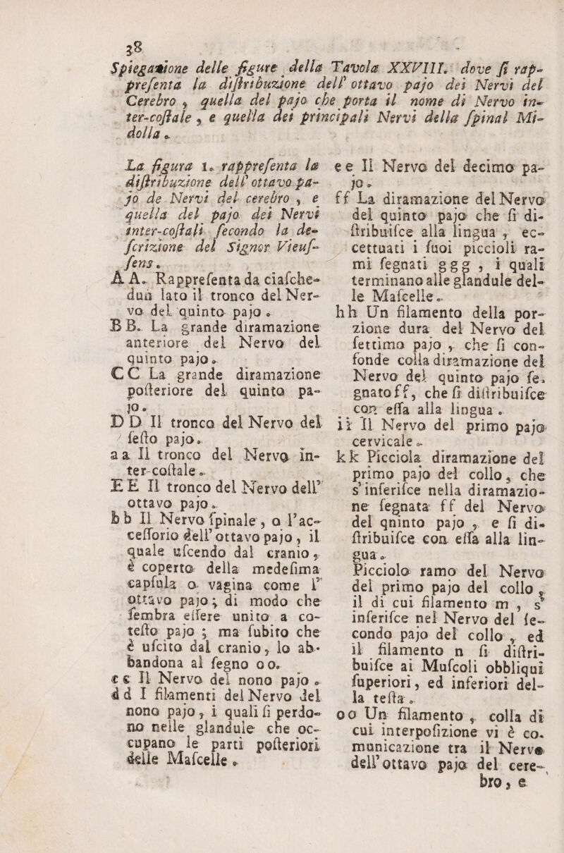 J8 Spiegaiitom delle figure della Tavola XXFllL dove fi rap-^ preferita la d'iflribu'zàone delP ottavo pajo dei Nervi del Cerebro ^ quella del pajo che porta il nome di Nervo in^ ter-cofiale • e quella dei principali Nervi della Spinai Mi-- dolla ^ La figura i», rapprefenta la difirìbuzione dell ottava pa-^ jo de Nervi del cerebro , e quella del pajo dei Nervi ^ ìnter-cofiali fecondo la de» Scrizione del Signor Vieuf^^ fens ^ A A». Rapprefenta da ciafclie- duii lato il tronco del Ner¬ vo del quinto pajo ^ B B. La grande diramazione anteriore del Nervo del quinto pajo» CC La grande diramazione polleriore del quinto pa- jo- D D II tronco dei Nervo del fedo pajo» a a II tronco del Nervg ìn- ter-coiìale «- E E II tronco del Nervo delL ottavo pajo. bb II Nervo fpinale 5 o l’ac- celTorio dell ottavo pajo , il quale ufcendo dal cranio, è coperto della medefima capfula o- vagina come L ottavo pajo; di modo che fembra elfere unito a co- teflo pajo ; ma fubiro che è ufcito dal cranio 5 lo ab¬ bandona al legno oo. c £ II Nervo del nono pajo «, 4 d I fikrrienti del Nervo del nono pajo ^ i quali fi perJo-^ no nelle glanduie che oc¬ cupano le parti pofieriori delie Mafcelk ee li Nervo del decimo pa¬ jo » ff La diramazione del Nervo del quinto pajo che fi di- firibuifce^ alia lingua , ec- ^ cettuati i fuoi piccioli ra¬ mi legnati ggg , i quali terminano alle glanduie del¬ ie Malceiie.. hh Un filamento della por¬ zione dura del Nervo dei lettimo pajo 5- che fi con¬ fonde colia diramazione de! Nervo del quinto pajo le. gnatoff, che fi dii! ri bui Ice CQP. ella alia lingua, ii 11 Nervo del primo pajo cervicale.. kk Picciola diramazione del primo pajo del collo ^ che s'inferifce nella diramazio¬ ne legnata fi del Nervo del qninto pajo , e fi di- firibuilce con ella alla lin¬ gua. Picciolo ramo del Nervo del prirno pajo del collo , il di cui filamento m , s inlerilce nel Nervo del fe¬ condo pajo del collo ^ ed il filamento n fi difiri- builce ai Mulcoli obbliqui fuperiori, ed inferiori del¬ la tefia . 0 0 Uii filamento , colia di cui interpofizione vi è co. municazione tra il Nerv® deir ottavo pajo del cere-, bros e