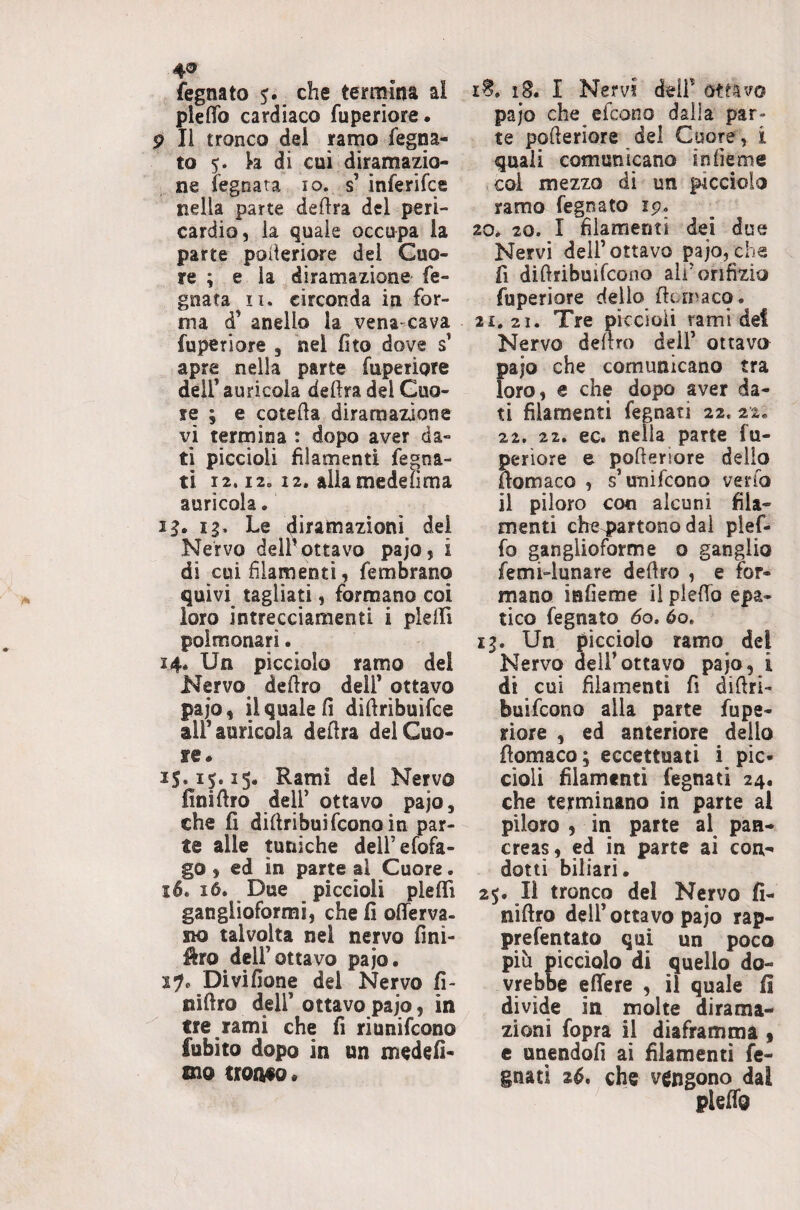 4^ iegnato che termina al plefTo cardiaco fuperiore. 9 li tronco dei ramo fegna- to 5. h di cui diramazio¬ ne fegnata io. s inferifce nella parte delira del peri¬ cardio, la quale occupa la parte poderiore del Cuo¬ re ; e la diramazione fe¬ gnata II. circonda in for¬ ma d’ anello la vena-cava fuperiore , nel fito dove s’ apre nella parte fuperiore deir auricola delira del Cuo¬ re ; e cotelia diramazione vi termina : dopo aver da¬ ti piccioli filamenti fegna- ti 12,12. 12. allamedefima auricola. ig. Le «Jiramazionì del Nervo delPottavo pajo, i di cui filamenti, fembrano quivi tagliati, formano coi loro intrecciamenti i pìelFi polmonari. 14. Un picciolo ramo del Nervo deliro dell’ ottavo pajo, il quale fi diliribuifce all’auricola delira del Cuo¬ re. 15. ij. 15. Rami del Nervo finiliro dell’ ottavo pajo, che fi difiribuifcono in par¬ te alle mniche deirefofa- go , ed in parte al Cuore. 16. 16. Due piccioli pleffì ganglioformi, che fi ofierva- no talvolta nel nervo fini- firo dell’ottavo pajo. Divifione del Nervo fi- niftro dell’ ottavo pajo, in tre rami che fi riunifcono fubito dopo in un medefi- mo troofo. iS. 18. I Nervi dell’ ottavo pajo che efcono dalla par¬ te polieriore del Cuore, i qnali comunicano iniieme coi mezzo di un picciolo ramo fegnato ip. 20. 20. I filamenti dei due Nervi dell’ottavo pajo,che fi difiribuifcono ali’orifizio fuperiore dello fiomaco. 21,21. Tre piccioli rami dei Nervo deliro dell’ ottavo pajo che comunicano tra loro, e che dopo aver da¬ ti filamenti fegnati 22. 22. 22. 22. ec. nella parte fu- perìore e pofieriore dello fiomaco , s’imifcono verio il piloro con alcuni fila¬ menti che^artono dal plef- fo ganglioforme o ganglio femi-lunare defiro , e for¬ mano infieme il pleflTo epa¬ tico fegnato 60» 60, ig. Un picciolo ramo del Nervo dell’ottavo pajo, i di cui filamenti fi difiri¬ buifcono alla parte fupe¬ riore , ed anteriore delio fiomaco; eccettuati i pic¬ cioli filamenti fegnati 24. che terminano in parte al piloro , in parte al pan¬ creas, ed in parte ai con¬ dotti biliari. 2$. Il tronco del Nervo fi- nifiro dell’ottavo pajo rap- prefentato qui un poco più picciolo di quello do¬ vrebbe efìfere , il quale fi divide in molte dirama¬ zioni fopra il diaframma , e unendofi ai filamenti fe¬ gnati 26, che vengono dai