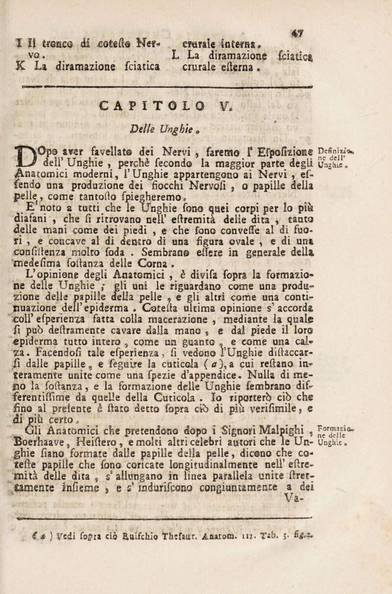 4T I li trailer éi Nef^ emfaie Intefas, vo. L La diramazipne fcìatic^ K La diramazione feiatLca crurale ellerna • CAPITOLO ¥. Delle Unghie a DOpo aver fp^ellat® dei Nervi , faremo i’ ErpofizioE® deli’ Unghie , perchè fecondo la maggior parte degli Unghu;» Anatomici moderni, i’Unghie appartengono ai Nervi , ef- fendo una produzione dei hocchi Nervofi 3 o papille della pelle, come tantoho fpiegheremOp E noto a tutti che le Unghie fona quei corpi per Io pià diafani , che fi ritrovano nell’ eftremità delie dita , tanto delle mani come dei piedi , e che fono convefife al di fuo¬ ri , e concave al di dentro di una figura ovale , e di una confifienza molto feda . Sembrano effere in generale della medefima fofianza delle Corna » L’opinione degli Anatomici , è divifa fopra la formazio¬ ne delie Unghie ; gli uni le riguardano come una produ¬ zione delie papille della pelle 5 e gli altri come una conti¬ nuazione dell’epidgrma • Cotefia ultima opinione s’accorda coir efperienza fatta colla macerazione , mediante la qual^ fi pub deliramente cavare dalia mano , e dai piede il loro «piderma tutto intero,, come un guanto , e come una cai’? za. Facendoli tale efperienza, fi vedono fUnghie diftaccar- il dalle papille g e fegisùre la cutìcola (tf), a cui reftano in-»’ ieramente unite come una fpezie d’appendice. Nulla dime¬ no la fofianza, e la formazione delle Unghie fembrano dif- ferentifTime da quelle della Cuticola . Io riporterb ciò che fino al preiente è fiato detto fopra ciò di più verifimilcj e di piti certo.. Gii Anatòmici che pretendono dopo i Signori Malpighi 5 Boerhaave , Heifiero, e molti altri celebri autori che le Un- Unghif, ghie fiano formate dalle papille della pelle, dicono che co- tefie papille che fono coricate longitudinalmente nell’ efire- mità delie dita 5 % allungano in lìnea parallela unite firet- Samente infieme j e s* mdurifpona congiuntamente a dei Va- € £> } fopra ciò ^aifehio Th:famr. Afiatom. ur. Tab. s*