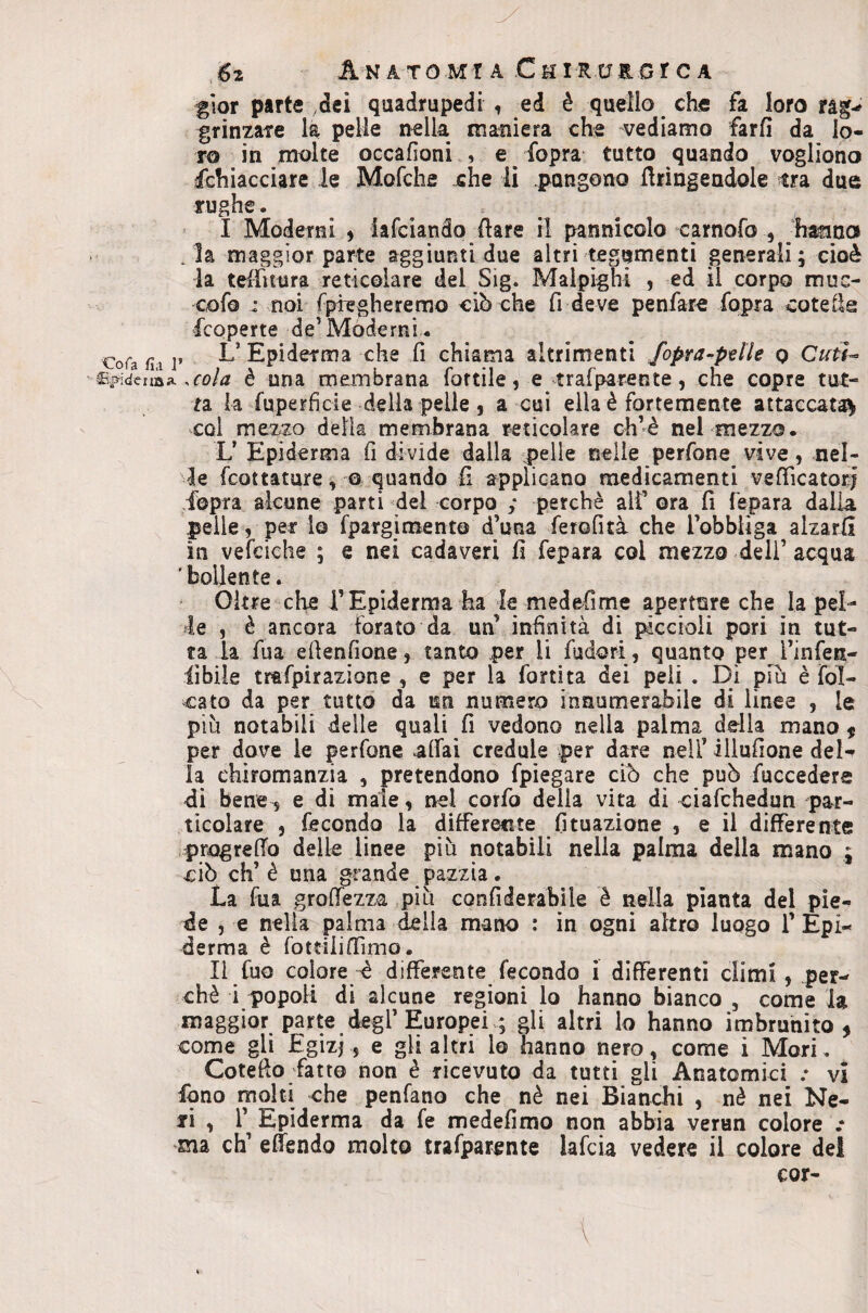 gìor parte ,dei quadrupedi , ed è quello che fa loro grinzare la pelle nella maniera che vediamo farli da lo¬ ro in molte occafìoni , e ^ fopra tutto quando vogliono Schiacciare le Mofche che li pungono Uringeadole tra due rughe. ^ I Moderni , iafciando Ilare ri pannicolo carnofo , hanno /la maggior parte aggiunti due altri tegumenti generali 5 cioè la telTuura reticolare del Sig. Malpighi , ed il corpo muc- cofo : noi rpregheremo ciò che fi deve penfare Sopra cotefls Scoperte de’Mòderni. cofa fii 1’ Epiderma che Si chiama altrimenti fopra-ptlle 0 Cuth a^idenaa è una membrana fottile, e trafparente, che copre tut¬ ta la Superficie della pelle 5 a cui ella è fortemente attaccata^ col mezzo della membrana reticolare ch’è nel mezzo. L’ Epiderma fi divide dalla pelle nelle perfone vive, nel¬ le fcottature, © quando lì applicano medicamenti vefTicatotj Sopra alcune parti del corpo ; perchè alf ora fi fepara dalia pelle, per lo fparginaento d’una Serofità che Tobbiiga alzarli in vefciche ; e nei cadaveri fi fepara col mezzo deli’ acqua 'bollente. Oltre che T Epiderma ha le medefime aperture che la pel¬ le , è ancora Forato da un’ infinità di piccioli pori in tut¬ ta la fua efienfione, tanto per li fudori, quanto per Sinfeii- iìbile traSpirazione , e per la fortita dei peli . Di più è Fol- ^ cato da per tutto da un numero innumerabile di linee , le più notabili delle quali fi vedono nella palma della mano j per dove le perfone alFai credule per dare nell’ illufione deD la chiromanzia , pretendono fpiegare ciò che può fuccedere di bene s e di male, nel corfo della vita di ciafchedun par¬ ticolare , fecondo la differente fituazione , e il differente progrefTo delle linee più notabili nella palma della mano ; ciò eh’ è una grande pazzia. La Fua grofiezza più confiderabile è nella pianta del pie¬ de , e nella palma della mano : in ogni altro luogo 1’ Epi¬ derma è Fotdiiffimo. Il fuo colore “è differente Fecondo i differenti climi, per¬ chè i popoli di alcune regioni lo hanno bianco , come la maggior parte degl’Europei >; gli altri lo hanno imbrunito, come gli Egizi, e gli altri lo hanno nero, come i Mori. Cotefio fatto non è ricevuto da tutti gli Anatomici .* vi fono molti che penfano che nè nei Bianchi , nè nei Ne- xi , l’ Epiderma da fe medefimo non abbia veran colore .* tna eh’ effendo molto trafparente laFcia vedere il colore del cor-