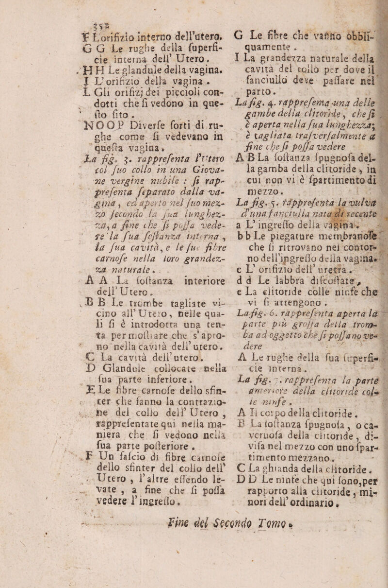 1 orifizio interno deirutero. G Le rugh e della fu perfi¬ de interna dell’ Utero . H H Le glanduìe delia vagina. J L’orifizio della vagina . L Gii orifizi dei piccioli con¬ dotti che fi vedono in qiie- ' ilo fito - N O OJ? Diveffe forti di ru¬ ghe come fi vedevano in quefra vagina» •L^r fig. g. rapprefenta YVisto iol fuo collo in una Gìova^ Tie vergine nubile : fi rap¬ prefenta féparato dalla va¬ gina , ed aperio nel juo mez¬ zo Jecondo la jua lunghez¬ za^ a fine che fi poj]a vede- ve 'la fua fcjhnza ìnttrna ^ ia fua cavità^ e le fu< fibre carnofe nella loro grandez¬ za naturale » A A La iofianza interiore deir Utero. . B B Le trciTibe tagliate vi¬ cino ali’Utero, nelle qua¬ li fi è introdotta una ten¬ ta per HiOllìare che s*apiO- no nella cavità dell’utero. C La cavità dell’utero. D Glanduie collocate nella fua parte inferiore. E Le fibre carnofe dello sfin- ter che fanno ia conrrazio- ne del collo dell’Utero, ràpprefentate qui nella ma¬ niera che fi vedono neiU fua pane polferiore . F Un falcio di fibre cainoie dello sfinter del colio deli' . Utero , l’altre efiendo le¬ vate , a fine che fi poffa vedere l’insrefio. G Le fibre che vanno obbli- quamente . I La grandezza naturale della cavità dei collo psr dove il fanciullo deve paiTare nel parto. Lafig. 4. rapprefenta-una delle gambe della clitoride ^ che fi è aperta nella fua lunghezza^ è tagliata trajverjalmente a fine che fi pofia vedere A B La fofianza fpugnofa del¬ ia gamba delia clitoride , in cui non vi è fpartimento di mezzo. La fig. %i tSpprefenta la vulva dluna fitnciulia nata di recente a L’in gre fio della vagìna>. bbLe piegature mem.branbfè che fi ritrovano nel contor¬ no deiripgreffo delia vagina» c L’orifizio dell’uretra . d d Le labbra difcufiate;, e La clitoride colle ninfe che vi fi attengono . Lafig. 6. rapprefenta aperta la: parte più grojja della trom¬ ba ad oggetto che fi pojfa no ve^ dere A Le rughe della fua fnperfi- eie interna. jfe* •rapprefenta la parte anrer.ore della clitonds tQ,/* i€ ninfe . A li co:po delia clitoride . B La iofianza fpugnofa , oca- veruofa della ditonde, <Ìi- vifa nel mezzo con uno fpar¬ timento mezzano. C La ghianda delia clitoride. D D Le ninte che qui fonOjpef rapporto alia clitoride j mi¬ nori deli’ordinario • iHm dd SccQudQ TQVfiQt^