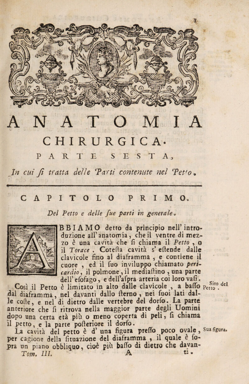 ‘ì A N A T O MIA CHIRURGICA- PARTE SESTA, In cui Jì tratta delle Terni contenute nel Tet<o* CAPITOLO PRIMO. Del Petto e delle fue parti in generale ® RBIAMO detto da principio nell’intro* duzione all'anatomia, che il ventre di mez» zo è una cavità che fi chiama il Petto , o il Torace . Cotefia cavità s’ efiende dalle clavicole fino al diaframma , e contiene il cuore , ed il fuo inviluppo chiamato peri¬ cardio, il polmone,il mediafiino ,, una parte dell' efofago, e dell’afpra arteria coi loro vafi « Così il Petto è limitato in alto dalle clavicole , a baffo Petto . ^ dal diaframma, nel davanti dallo (terno , nei fuoi lati dal¬ le colte, e nel di dietro dalle vertebre del dorfo. La parte anteriore che fi ritrova nella maggior parte degli Uomini dopo una certa età più o meno coperta di peli, fi chiama il petto, e la parte pofteriore il dorfo. La cavità del petto è d’ una figura predo poco ovale, sua figura, per cagione della fituazione del diaframma , il quale è Co¬ pra un piano obbliquo, cioè più baffo di dietro che davan- Tom. Uh ' A