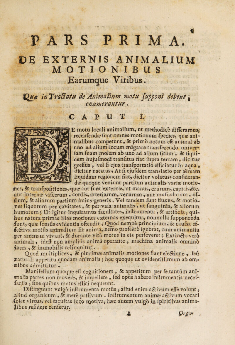 PARS PRIMA. DE EXTERNIS ANIMALIUM MOTIONIBUS Earumque Viribus. in TraSata de Animalium motu fupponi deleat | enumerantur. CAPUT f. E motu locali animalium, ut methodice differamus,' recenfenda? funt omnes motionum fpecies, qua? ani¬ malibus competunt, k. primo notum efi animal ab uno ad alium locum migrare transferendo univer- fam fuam molem ab uno ad alium litum * Sc liqui- dem hujufmodi tranfitus fiat Cupra terram, dicitur greffus , vel fi ejus tranfportatio efficiatur in aqua , dicitur natatus* At fi ejufdem translatio per aeream liquidam regionem fiat, dicitur volatus? confideran* da? quoque veniunt partium animalis varia? motio-, pes, Sc tranfpofitiones, qua? aut funt externa?, ut manus, crurum, capitis,&:c. aut interna? vifcerum , cordis, arteriarum, venarum , aut irmfculorum , of- lium, Sc aliarum partium hujus generis . Vel tandem funt fluxus, Sc motio-, nes liquorum per cavitates , Sc per vafa animalis , ut fanguinis, & aliorum humorum, Ut igitur inquiramus facultates, inftrumenta , Sc artificia, qui¬ bus natura primas illas motiones externas exequitur, nonnulla fupponenda funt, qua* fensus evidentia oftendit 5 Quod nempe principium, & caufsa ef- fecliva motus animalium fit anima, nemo profeSo ignorat, cum animantia per animam vivant, Sc durante vita motus in eis perfeveret * Bxcin&o verb animali, ideft 0911 amplius anima operante , machina animalis omninb iners , Sc immobilis relinquitur» Quod multiplices , Sc plurima animalis motiones fiantele£Hone , feu flaturali appetitu quodam animalis * hoc quoque ut evidentiffimum ab om¬ nibus admittitur • Manifeftum quoque efl cognitionem , Sc appetitum per fe tantum ani- malis partes non movere, Sc impellere , fed opus habere inftrumentis necef* fariis , fine quibus motus effici nequeunt. Diflinguunt vulgo inftruimenta motus, aliud enim a&ivum efle volunt, aliud organicum , &: mere paffivum . Inflrumentum anima? adlivum vocari Colet virtus, vel facultas loco motiva, ha?c autem vulgb in fpiritibus anima¬ libus refideje cenfetuf.