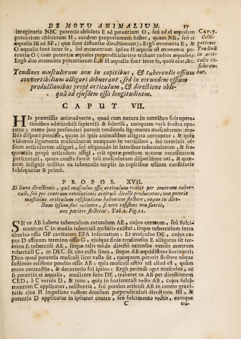 imaginaria MBC potentia abfoluta E ad potentiam O , ieu ad ei aqualem potentiam ab Colu tam H , eandem proportionem habet, quam NR, feu ei «qualis IB ad BF, (qua? fun£ didanti« dire^fionum) , Ergo momenta E , & O aequalia lunt inter fe , fed momentum iplius H «quale eft momento po¬ tentiae O ( cum potentia? «quales perpendiculari ter trahant radios «qualesp, Ergb duo momenta potentiarum £,& H «qualia funt inter fe, quod erat3&c. Tendinei musculorum non in capitibus , & tuberculis offium convertibilium alligari debuerant ffied in eorundem offium produbTwnibus prope articulum , & dircHione obh- • quZ ad ejufdem offis longitudinem» CAPUT VIL His pra?miffis animadverto, quod cum natura jn omnibus fuisopera¬ tionibus admirabili fapientia & folertia , nunquam verb fruftra ope¬ retur -9 nemo jure perfuaderi poterit tendinofa ligamenta mufculorum me¬ lius difponi potuiiTe, quam in ipiis animalibus alligata cernuntur 5 & quia videmus ligamenta mufculorum nunquam in verticibus , feu terminis o fi¬ lium articulorum alligari , fed aliquando in lateribus tuberculorum , & fre¬ quentius prope articulum affigi, erit operse pretium natura? neceffitatem perlcrutari , quare coa&a fuerit tali mufculorum diCpofitioneuti, & qua?- nam infignis utilitas ex tuberculis amplis in capitibus offium conftitutis lubfequatur & primo» V R O P O S. XVIL Si linea Air e Bionis , qua mufculus offis articulum trahit per centrum tuber* Ciili9 feti Per centrum revolutionis articuli AireBe producatur-} non poterit mufculus articulum reffientiam habentem fi e B er e , neque in dire-* Bum ipfum fixi retinere , fi vero refifiens non fuerit % nec pariter fieSet.Hr* Tab.z. Fig.11. . «. '-V _ * f , ■ ”r Sit os ABbabens tuberculum rotundum AE, cujus c entium , feu fulci* mentum C in medio tuberculi mobilis exiftat , fitque tuberculum intra alterius offis GF cavitatem EFA infumatum , Et mulculus DE , cujus ca¬ put D affixum termino offis G 9 ejulque finis tendinofus E alligatus (it ter¬ mino E tuberculi AE9 fitque talis tendo dire&e extenfus versus centrum tuberculi C , ut DEC fit una re&a linea ^ fitque AB «quidifians borizemti. Dico quod potentia mufculi licet vada fit, nunquam poterit fle&ere neque fudinere relidens pondus offis AB , quia mufculi a&io nii aliud efl , quam jnera contrario , & decurtatip fui ipfius, Ergb perinde aget mufculus 9 ac fi potentia ei «qualis 9 mediante fune DE 9 traheret os AB per dire£Honem CED, a C versus D 9 & tunc , quia in horizontali ve&e AB , cujus fulci¬ mentum C applicatur, relidentia , feu pondus articuli AB in centro gravi¬ tatis ejus H impellens ve&em deorfum perpendiculari dire&ione HI , Sc potentia D applicatur inipfomec centro 9 feu fulcimento veclis» cumque. * C txa- Cap.?* Colli- gationes Tendini* in arti~ Culis Co«* Jiderap* tun