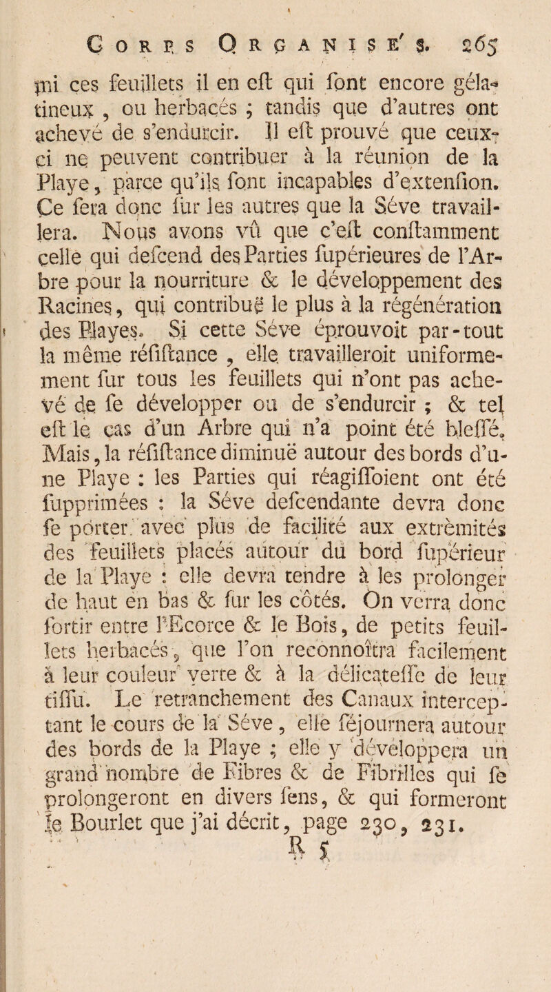 lui ces feuillets il en ell qui font encore géla¬ tineux , ou herbacés ; tandis que d’autres ont achevé de s’endurcir. U eft prouvé que ceux- ci ne peuvent contribuer à la réunion de la Playe, parce qu’ils font incapables d’qxtenfion. Çe fera donc fur les autres que la Sève travail¬ lera. Nous avons vû que c’eft conftamment celle qui defcend des Parties fupérieures de l’Ar¬ bre pour la nourriture & le développement des Racines, qui contribué le plus à la régénération ! des Bayes. Si cette Sève éprouvoit par-tout la même réfiftance , elle, travaillerait uniformé¬ ment fur tous les feuillets qui n’ont pas ache¬ vé de fe développer ou de s’endurcir ; & tel eft lé cas d’un Arbre qui n’a point été hleffé, Mais, la réfiftance diminué autour des bords d’u¬ ne Playe : les Parties qui réagiffoient ont été fupprimées : la Sève defcendante devra donc fe porter avec plus de facilité aux extrémités des feuillets placés autour du bord fupérieur de la Playe : elle devra tendre à les prolonger de haut en bas & fur les côtés. On verra donc fortir entre FEcorce & le Bois, de petits feuil¬ lets herbacés-, que l’on reeonnoîtra facilement â leur couleur verte & à la délicateffe de leur tiflü. Le' retranchement des Canaux intercep¬ tant le cours de la Sève, elle féjournera autour des bords de la Playe ; elle y développera un grand nombre de Fibres & de Fibrilles qui fe prolongeront en divers fens, & qui formeront le Bourlet que j’ai décrit, page 230, 231.