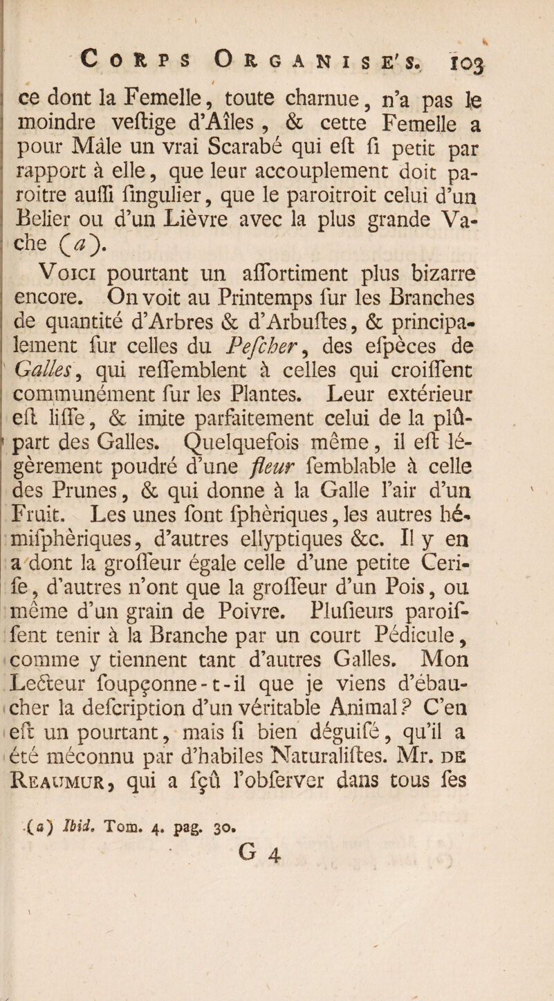 « _ 4 ce dont la Femelle, toute charnue, n’a pas le moindre vertige d’Aîles , & cette Femelle a pour Mâle un vrai Scarabé qui eft fi périt par rapport à elle, que leur accouplement doit pa- roitre auffi fingulier, que le paroitroit celui d’un Belier ou d’un Lièvre avec la plus grande Va¬ che Qaf. Voici pourtant un affortiment plus bizarre encore. On voit au Printemps fur les Branches de quantité d’Arbres & d’Arbuftes, & principa¬ lement fur celles du Pefcher, des efpèces de Galles, qui relfemblent à celles qui croilfent communément fur les Plantes. Leur extérieur ert lilfe , & imite parfaitement celui de la plû- 1 part des Galles. Quelquefois même, il eft lé¬ gèrement poudré d’une fleur femblable à celle des Prunes, & qui donne à la Galle l’air d’un Fruit. Les unes font fphèriques, les autres hé» mifphèriques, d’autres ellyptiques &c. Il y en a dont la grofieur égale celle d’une petite Ceri- fe, d’autres n’ont que la grolîèur d’un Pois, ou même d’un grain de Poivre. Plufieurs paroif- fent tenir à la Branche par un court Pédicule, comme y tiennent tant d’autres Galles. Mon Leéteur foupçonne-t-il que je viens d’ébau¬ cher la defcription d’un véritable Animal ? C’en efir un pourtant, mais fi bien déguifé, qu’il a été méconnu par d’habiles Naturaliftes. Mr. de Reaumur, qui a lçû l’obferver dans tous fes (a) Ibid, Tom. 4. pag. 30.