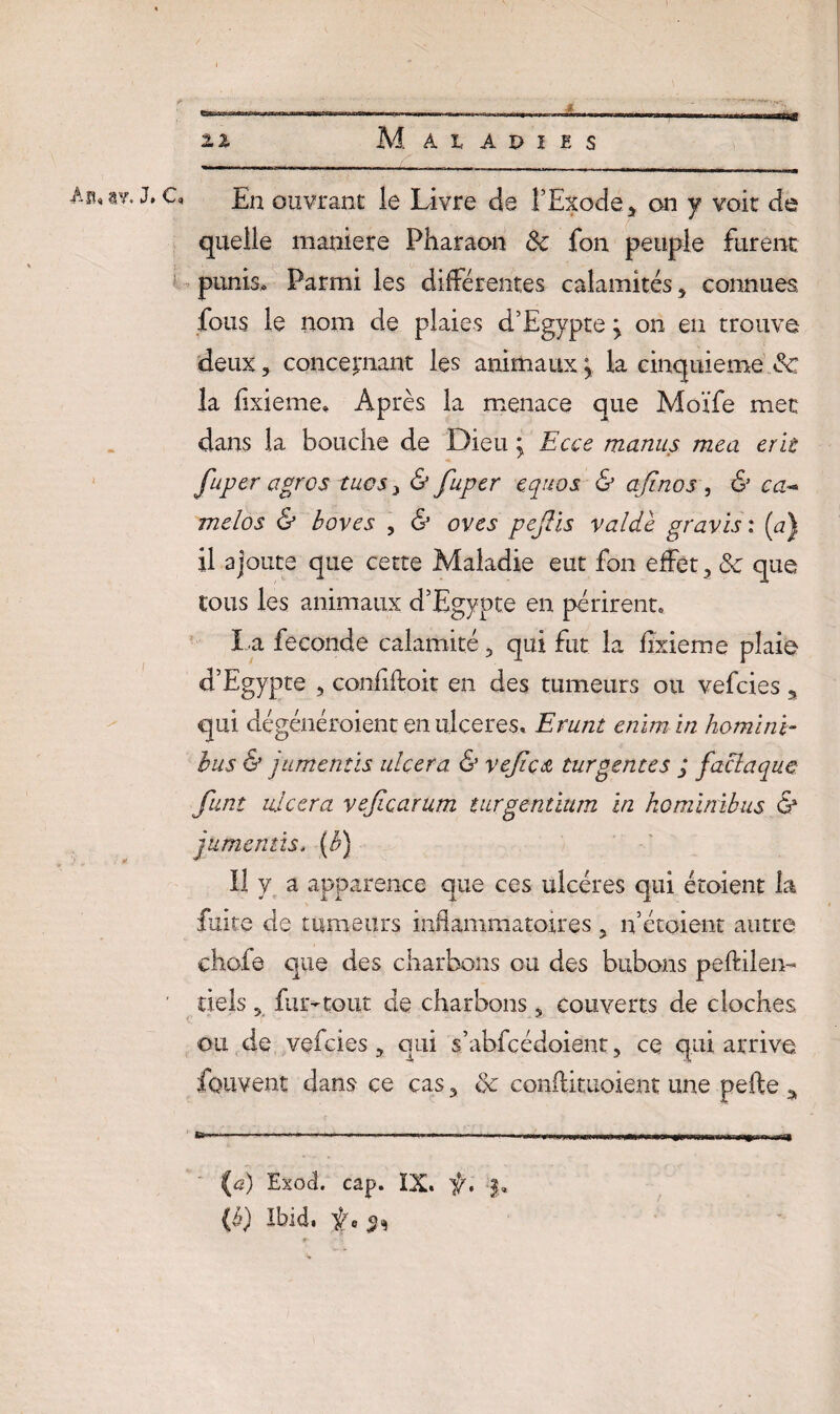 En ouvrant le Livre de l’Exode, on y voit de quelle maniéré Pharaon 3c fon peuple furent punis. Parmi les différentes calamités, connues fous le nom de plaies d’Egypte \ on en trouve deux, concernant les animaux \ la cinquième 3c la fixieme, Après la menace que Moïfe met dans la bouche de Dieu y Ecce manus mea erit fuper agros tuos , & fuper equos & ajlnos , & ca°* mclos & boves , & oves pejlis valde gravis : (u) il ajoute que cette Maladie eut fon effet, 3c que tous les animaux d’Egypte en périrent, La fécondé calamité 5 qui fut la fîxieme plaie d’Egypte 5 confiftoit en des tumeurs ou vefcies 5 qui dégénéroient en ulcérés, Erunt enim in homini- bus & jumentis ulcéra & veficû turgenres ; faclaquc funt ulcéra vejiçarum turgentiitm in ho minibus & jumentis. (b) il y a apparence que ces ulcères qui étoient la fuite de tumeurs inflammatoires 5 n’étoient autre çhofe que des charbons ou des bubons peftilen- ciels 5 fur-tout de charbons ? couverts de cloches ou de vefcies 5 qui s’abfcédoient 5 ce qui arrive fquvent dans ce cas 5 3c conflituoient une pefte a S*—-—-—----r-r, nm-i- >.--1-1.-1111 11 ■ « {a) Exod. cap. IX. f. (è) Ibid, 5,