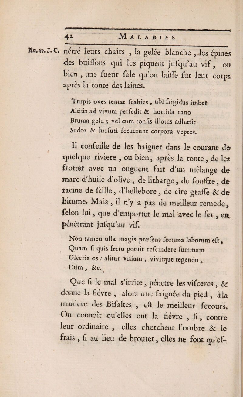 ÜM?. J. C. nétré leurs chairs , la gelée blanche , les épines des huilions qui les piquent jufqu’au vif, ou bien , une fueur fale qu’on laifle fur leur corps après la tonte des laines* Turpis oves tentât fcabics 5 ubi frigidus imbeî Aldus ad vivura perfedit & horrida cano Bruma gelu ; vel cum tonfîs illotus adhæfît Sudor 3c hirfuti fecuemnt corpora vepres. 11 confeille de les baigner dans le courant de quelque riviere , ou bien, après la tonte, de les frotter avec un onguent fait d’un mélange de marc d’huile d’olive , de litharge, de foudre, de racine de fcille, d’hellebore, de cire grade ôc de bitume* Mais , il n’y a pas de meilleur remede, félon lui, que d’emporter le mal avec le fer, ent pénétrant jufqu’au vif Non tamen ulla ttiag«s præfens fortuna laborumeft, Quam fi quis Fcito potuit refciiadère fummuni TJiceris os : alitur vitium , vivitque tcgendo., Dùm , 3cc» Que fi le mal s’irrite, pénétré les vifceres , Sc donne la fièvre , alors une faignée du pied , à la maniéré des Bifaltes , eft le meilleur fecours. On connoît qu’elles ont la fièvre , fi, contre leur ordinaire , elles cherchent l’ombre & le frais, fi au lieu de brouter, elles ne font qu’ef-