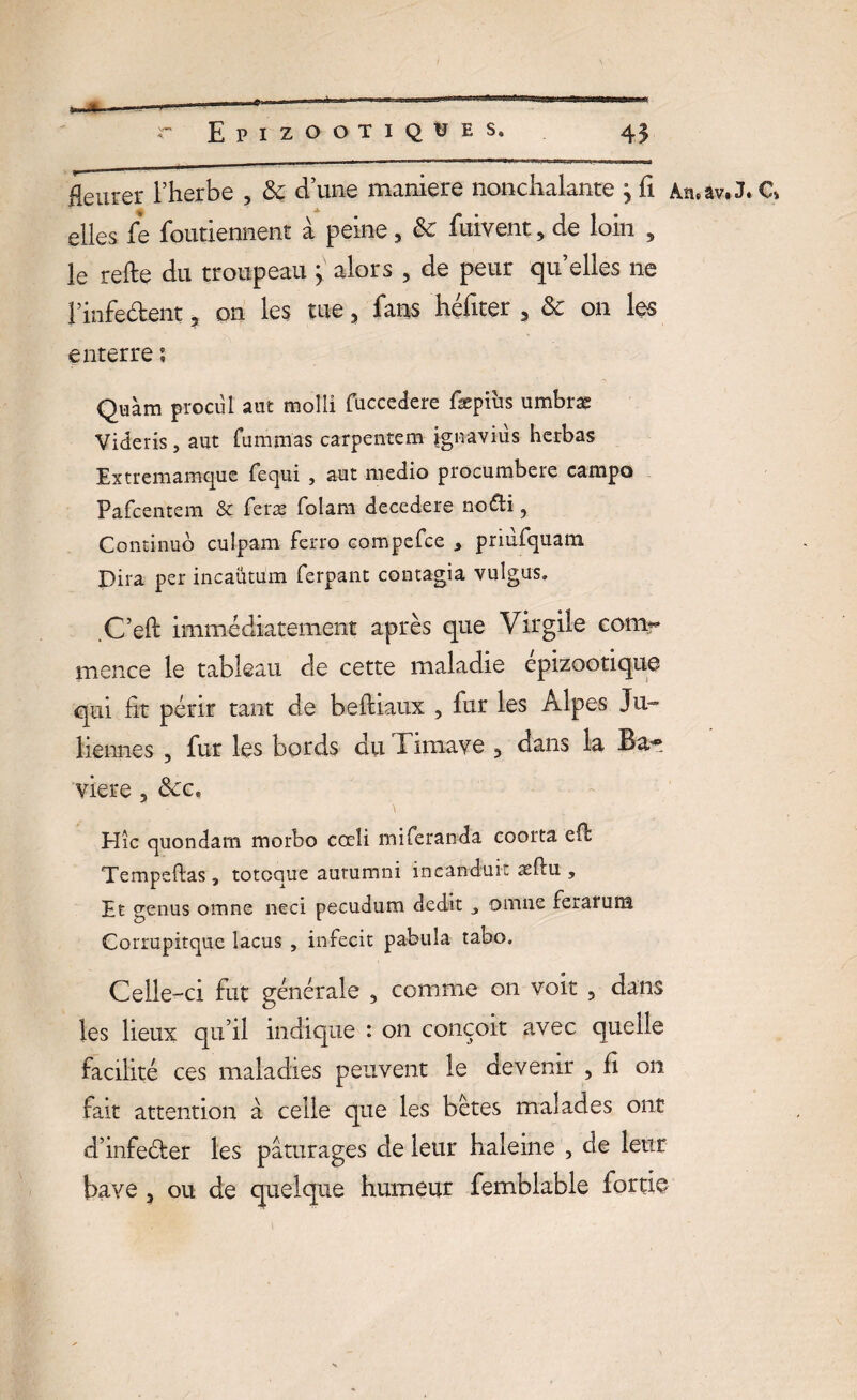 Heurer l’herbe , & d’une maniéré nonchalante } fi An.av.J. C> elles fe foutiennent à peine 5 & fuivent , de loin , le relie du troupeau y alors , de peur qu’elles ne l’infedent 5 on les me 5 fans héfiter , & on les enterre ? Quàm prociil aut molli fuccedere fæpius umbræ Videris, aut fummas carpentem ignavius hcrbas Extremamque fequi , aut medio procumbere campo Pafcentem & feræ folam decedere no&i, Continué cuîpam fcrro compefce > priiifquam Dira per incaûtum ferpant contagia vulgus. C’eft immédiatement après que Virgile corn*- mence le tableau de cette maladie épizootique qui fit périr tant de befliaux , fur les Alpes Ju¬ liennes , fur les bords du Timave 3 dans la Ba¬ vière 3 dec, Hîc quondam morbo cœîi miferanda coorta efb Tempeftas , totoque aurumni incanduit æftu , Et genus omne neci pecudum dédit 3 omne 1er arum Corrupitque lacus , infecit pabufa tabo. Celle-ci fut générale 3 comme on voit , dans les lieux qu’il indique : on conçoit avec quelle facilité ces maladies peuvent le devenir , fî on fait attention à celle que les bêtes malades ont d’infeéler les pâturages de leur haleine , de leur bave j ou de quelque humeur femblable fortie