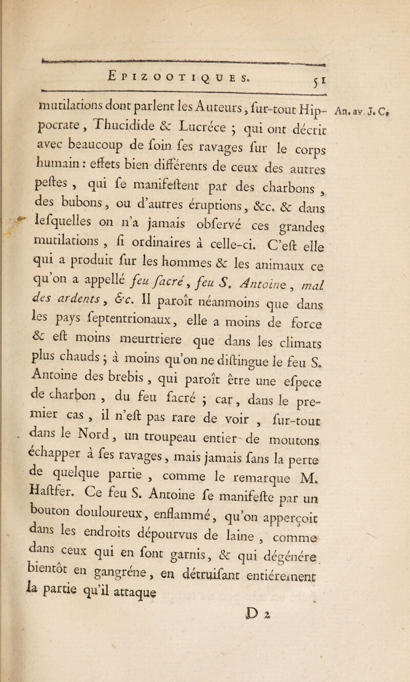 ' r. rnirnümSm Ü .mnini ..—■—£ mutilations dont parlent les Auteurs 5 fur-tout Hip¬ pocrate , Thucidide & Lucrèce 3 qui ont décrit avec beaucoup de foin fes ravages fur le corps fmmain : effets bien différents de ceux des autres peffes 5 qui fe maiiifeftent pat des charbons i des bubons , ou d’autres éruptions , &c» & dans lefquelles on n’a jamais obfervé ces grandes mutilations , fi ordinaires à celle-ci. C’eft elle qui a produit fur les hommes & les animaux ce qu’on a appellé feufacré, feu S. Antoine , W ^ ardents , <$’c. Il paroît néanmoins que dans les pays feptentrionaux, elle a moins de force de eft moins meurtriere que dans les climats plus chauds ; a moins qu’on ne diftingue le feu S. Antoine des brebis , qui paroît être une efpece de charbon , du feu facré ; car, dans le pre¬ mier cas 5 il n’eft pas rare de voir 3 fur-tout , dans le Nord , un troupeau entier de moutons échapper à fes ravages , mais jamais fans la perte de quelque partie 5 comme le remarque JVL Haflfer. Ce feu S. Antoine fe manifefte par un bouton douloureux^ enflammé, qu’on apperçoit dans les endroits dépourvus de laine , comme s ^ceux qm en font garnis, &c qui dégénéré bientot^ en gangrène , en détruifant entièrement la partie qu’il attaque D z Aa, av. J» C* u