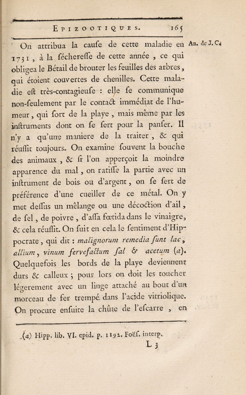On attribua la caufe de eette maladie en A11. de J. C« 1731 5 à la fécheiefle de cette année , ce qui obligea le Bétail de brouter les feuilles des arbres 5 & ^ t qui étoient couvertes de chenilles. Cette mala¬ die efi très-contagieufe : elle fe communique non-feulement par le contad immédiat de l’hu¬ meur , qui fort de la playe , mais meme par les inftruments dont on fe fert pour la panfer. Il n’y a qu’une maniéré de la traiter , &c qui réulîit toujours. On examine fouvent la bouche des animaux 3 & fi l’on apperçoit la moindre apparence du mal 5 on ratilfe la partie avec un infiniment de bois ou d’argent ? 011 fe fert de préférence d’une cueiller de ce métal. On y met delTus un mélange ou une décodion d ail 5 de fel, de poivre , d’afia fœtidadans le vinaigre., Sc cela réullîc. On fuit en cela le fentiment d’Hip¬ pocrate , qui dit : malignorum remedia funt lac 9 alliiun, vinum fervefaclum fal & acetum (a). Quelquefois les bords de la playe deviennent durs 8ç calleux 3 pour lors on doit les toucher légèrement avec un linge attache au bout d un morceau de fer trempe, dans 1 acide vitriohque. O11 procure enfuite la chute oe 1 efcaiie 3 en (a) Hipp. lib. VI. epid. p. iiÿz< Foëf. interp. L)