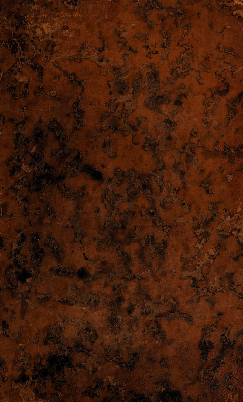 No text description is available for this image